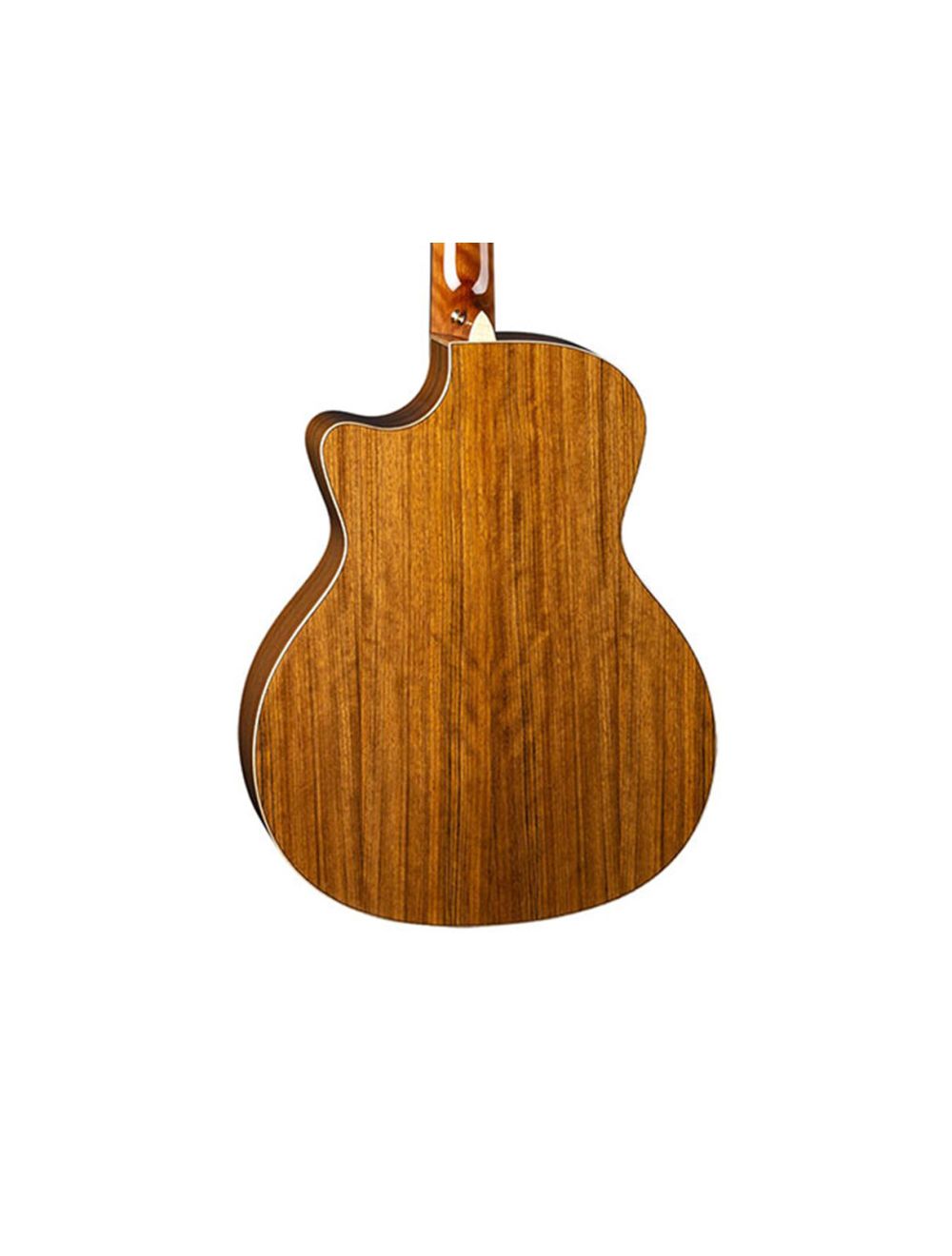 Luna Vista Bear Tropical Wood A/E Bass Guitar