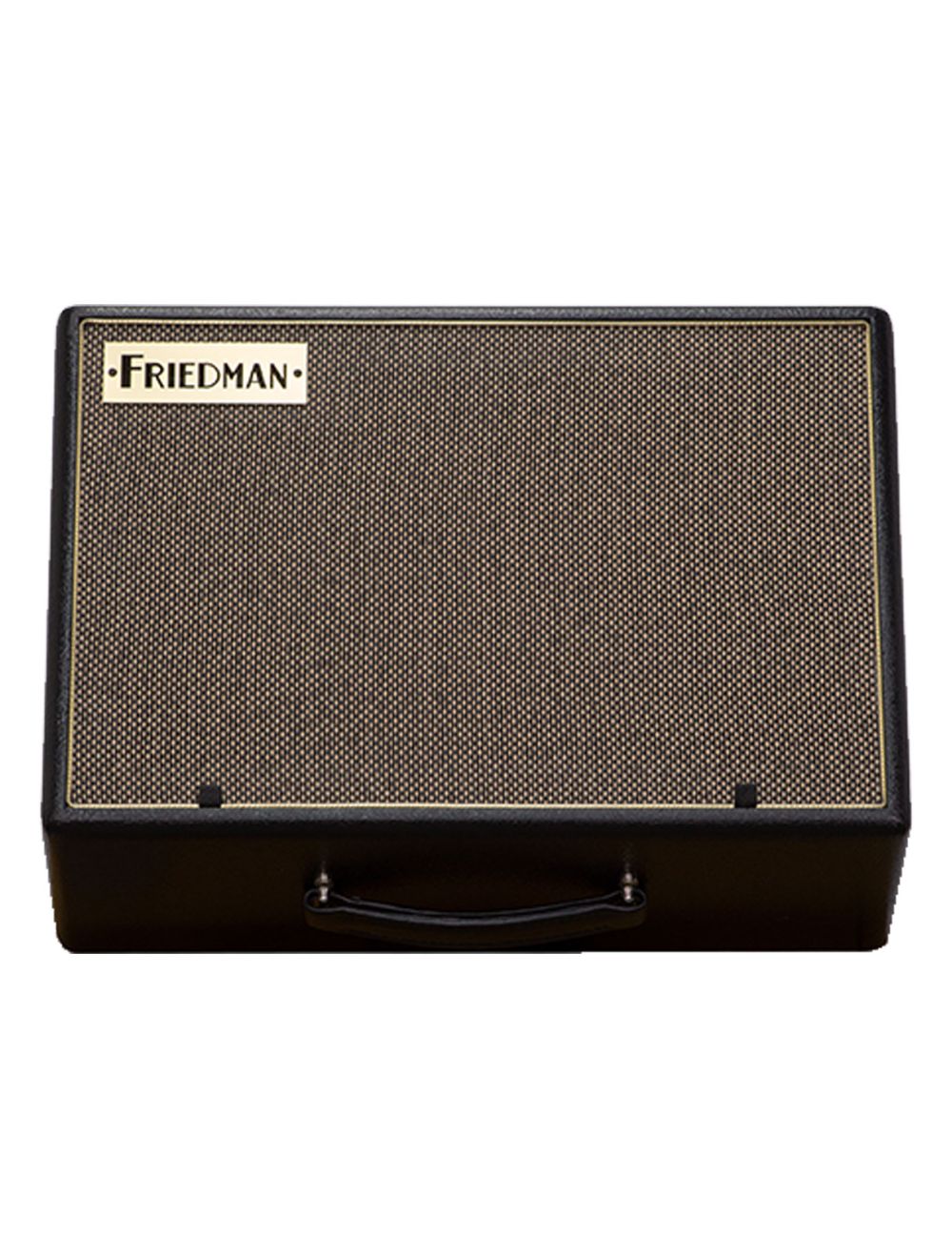 Friedman ASM-10 Active 10" Two-Way Amp Modeling Reference Monitor