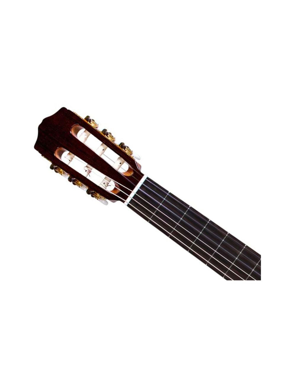 Cordoba Iberia C5-CE Spruce Cutaway A/E Nylon String Guitar - B-Stock