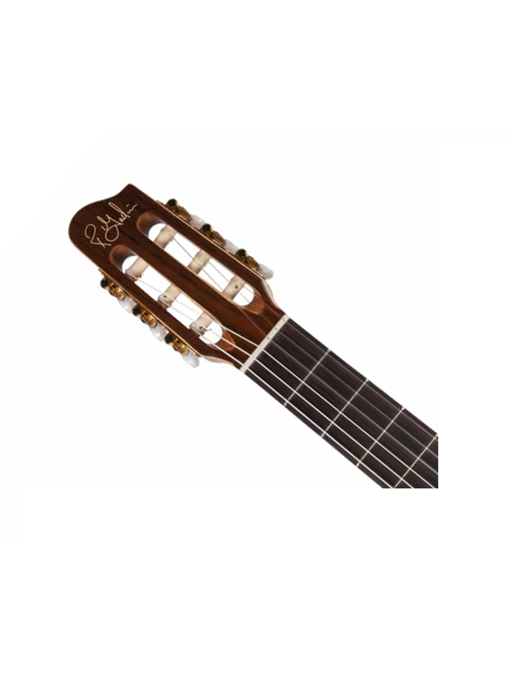 Godin Presentation Nylon String Guitar