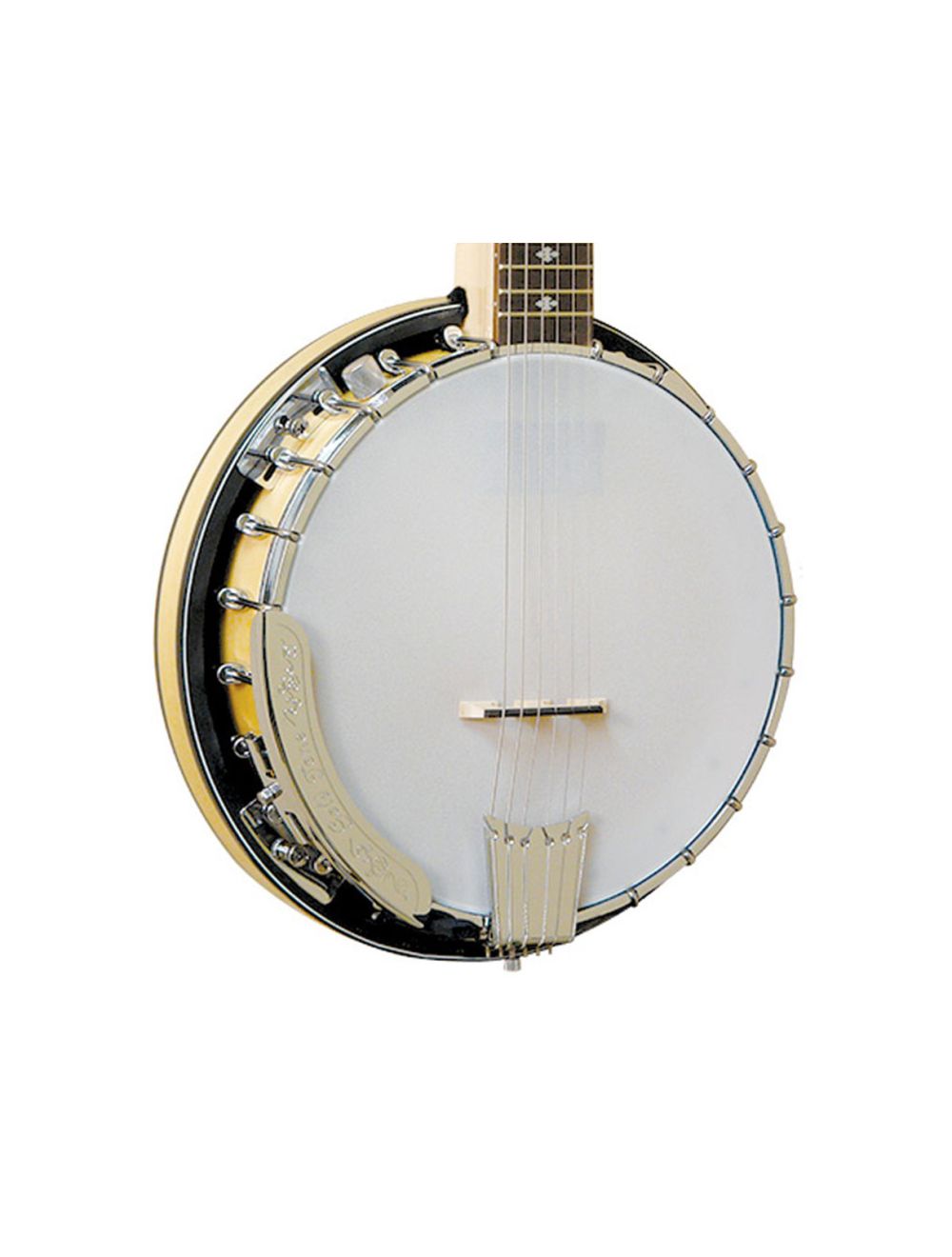 Gold Tone 6-String Banjitar - Open Box