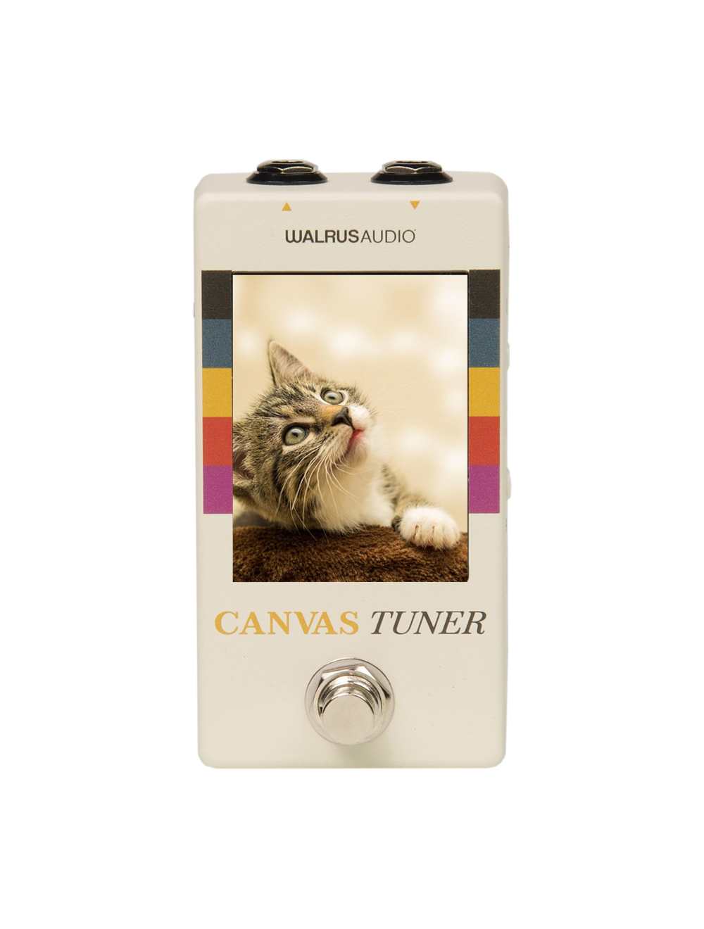 Walrus Audio Canvas Tuner Harvest Series 2025