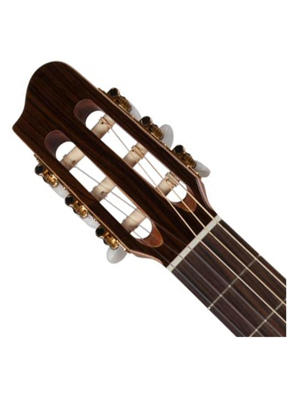 Godin Concert Left Handed Nylon String Guitar - Open Box