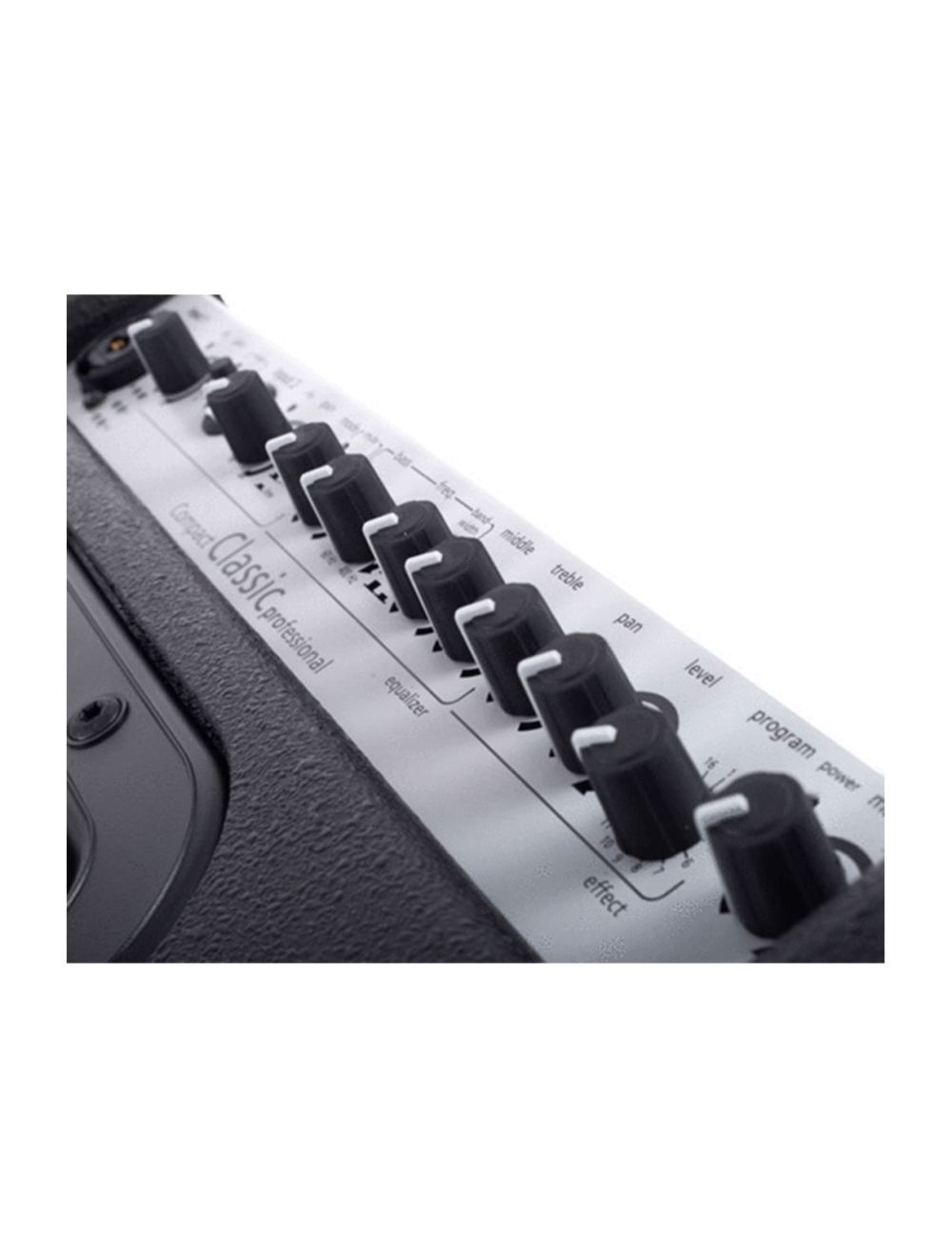 AER COMPACT-CLASSIC-PRO 60W Classical Combo Amp 2-way Speaker System Black