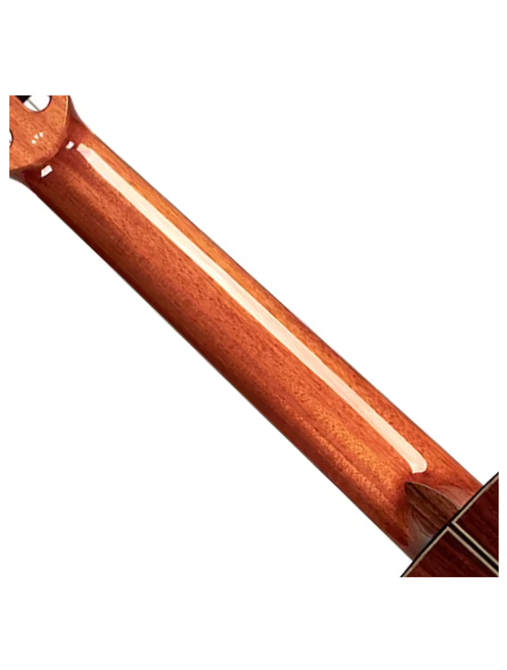 Cordoba Luthier C10 Left Handed Nylon String Guitar - B-Stock