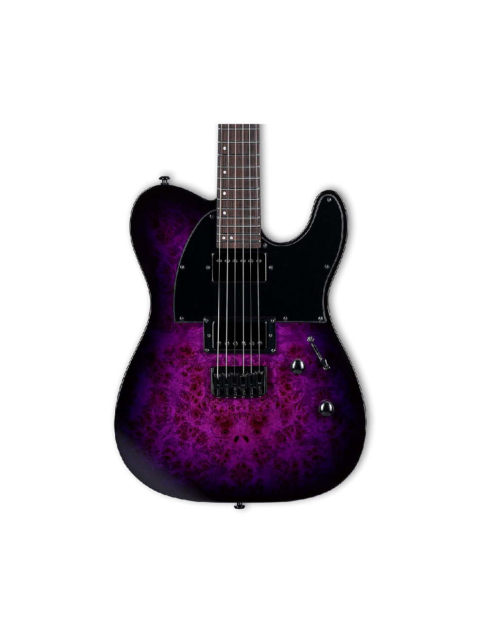 ESP LTD TE-200DX Electric Guitar - Purple Burst