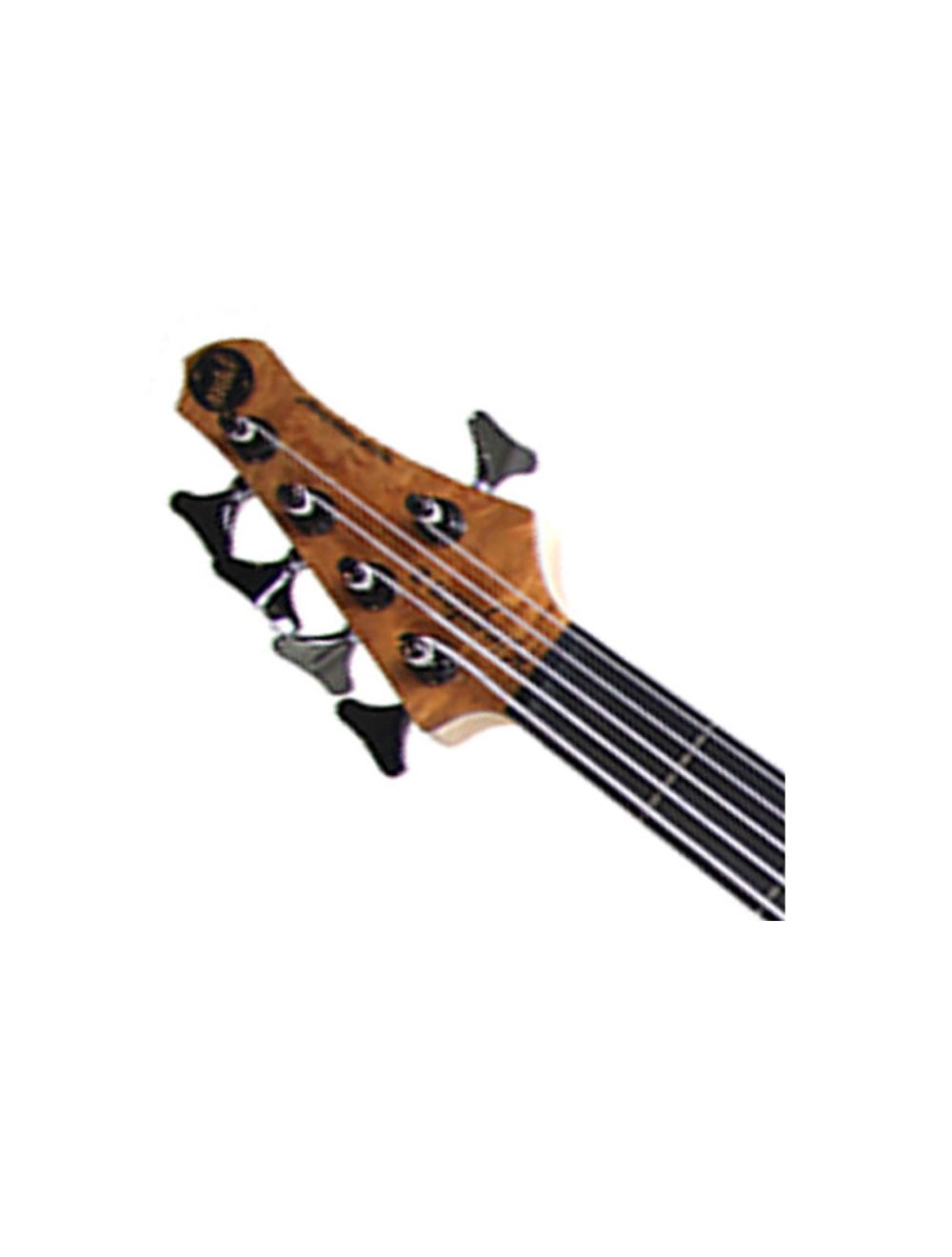 Mtd fretless bass 2025
