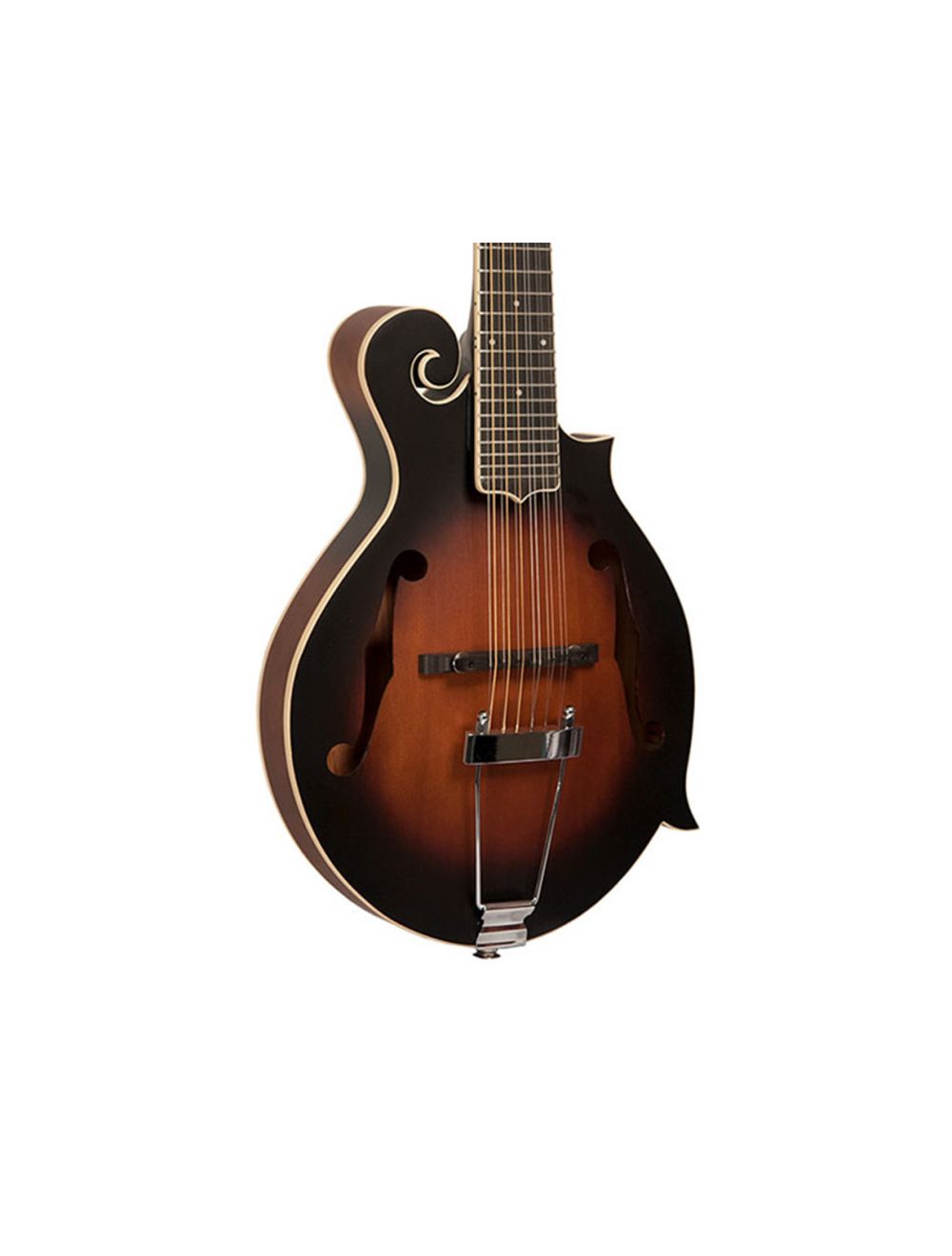 Gold Tone F 12 F Style 12 String Guitar Mandolin