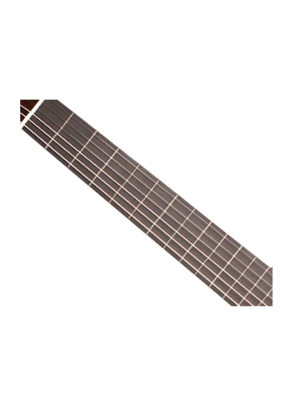 Cordoba USA Rodriguez Nylon String Guitar