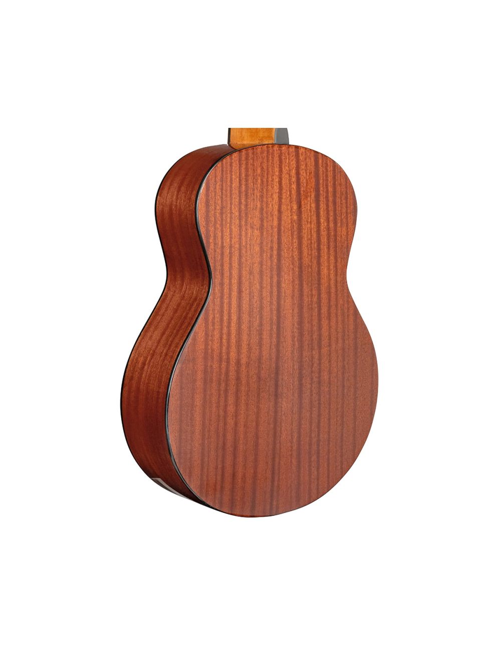 Gold Tone TG-10/L Left-Handed Tenor Acoustic Guitar