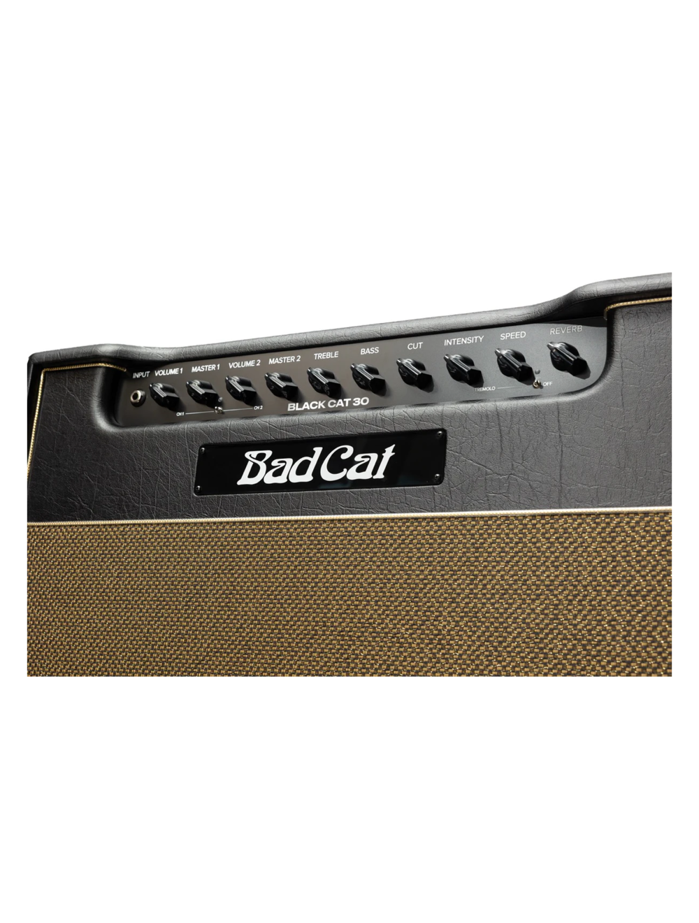 Bad Cat Mark Sampson Modded Black Cat 30-Watt 1x12" Tube Combo Amplifier