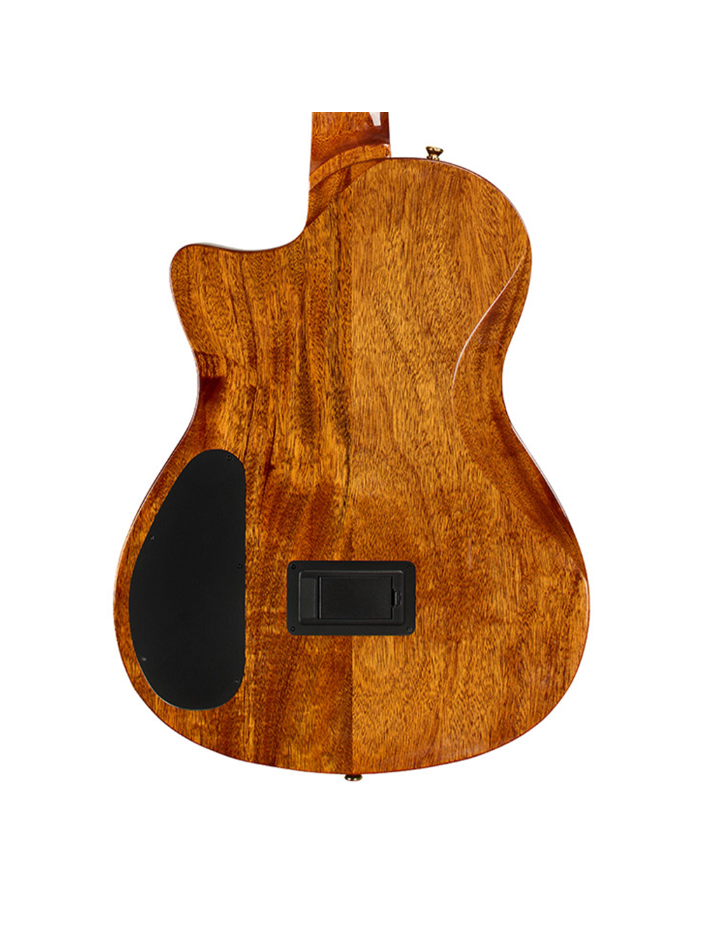 Cordoba Stage Artist Nylon-String Electric Guitar - Agave Burst - Open Box