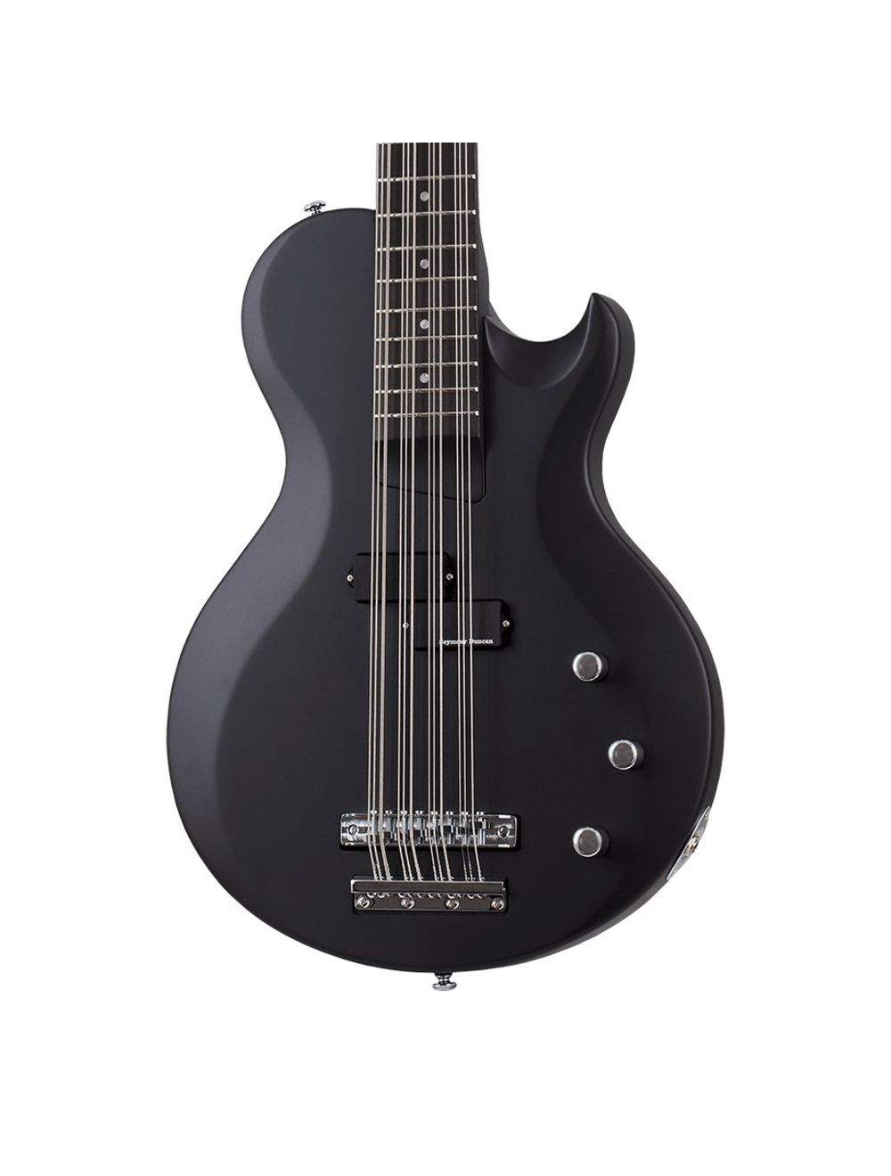 Amazon.com: Schecter dUg Pinnick DP-12 12-string Bass Guitar