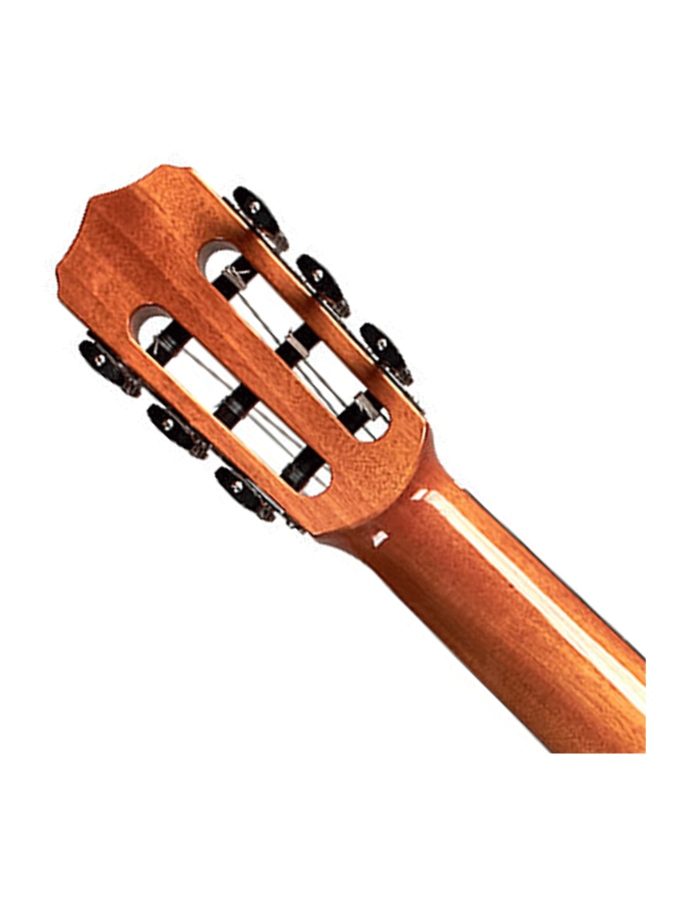 Cordoba Fusion 12 Cutaway A/E Nylon String Guitar - Natural Cedar - B-Stock