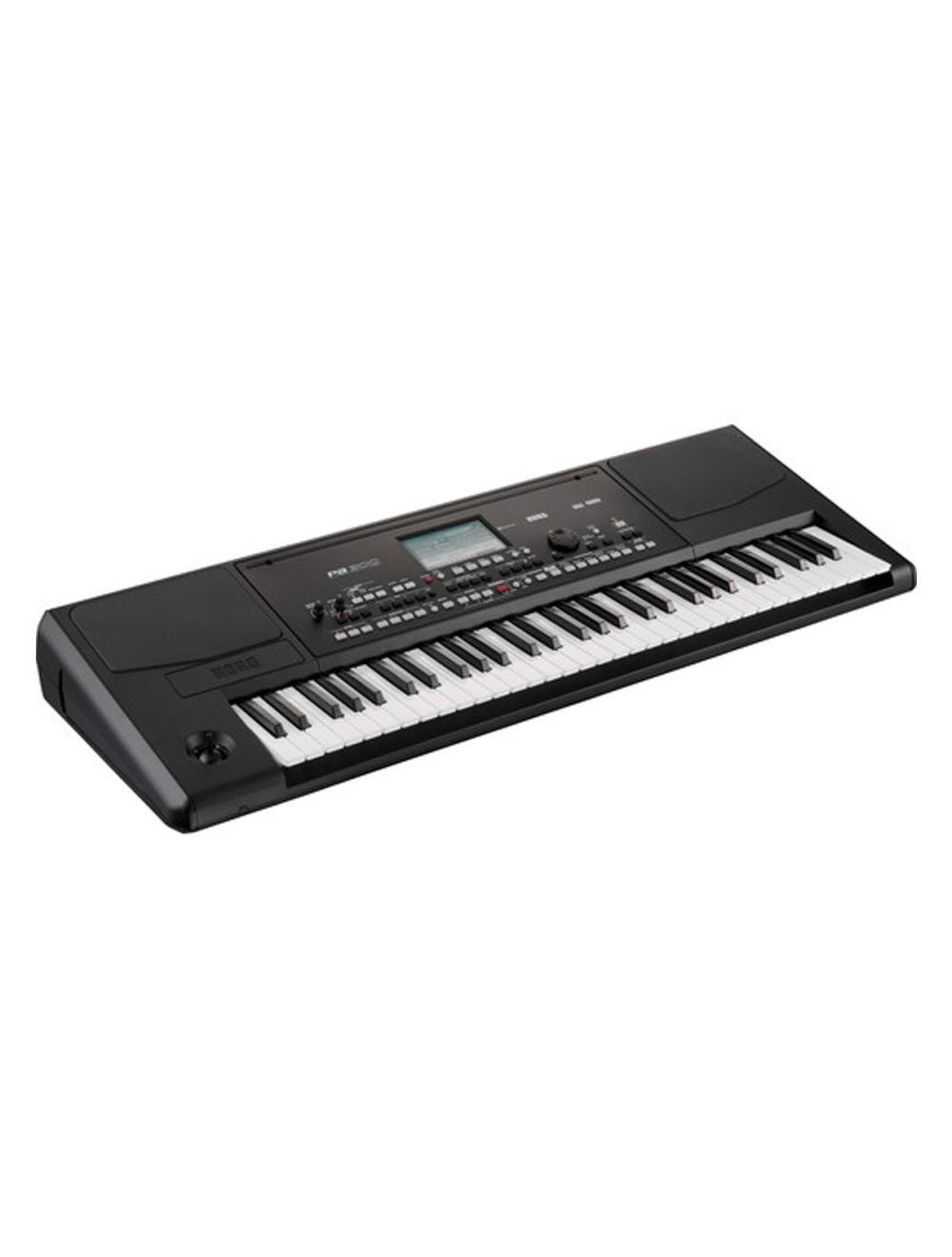 Korg PA300 61 Key Professional Arranger - Open Box