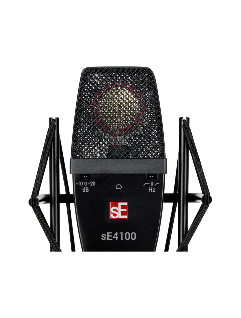 sE Electronics sE4100 Large-Diaphragm Condenser Microphone - Open Box