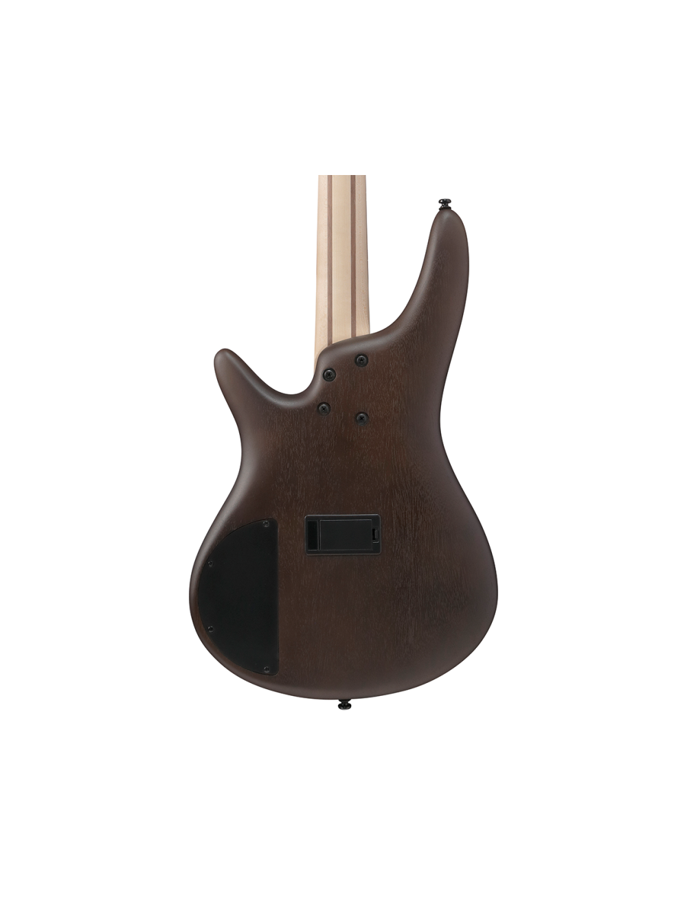 Ibanez SR300EBWNF SR Standard Bass Guitar - Walnut Flat