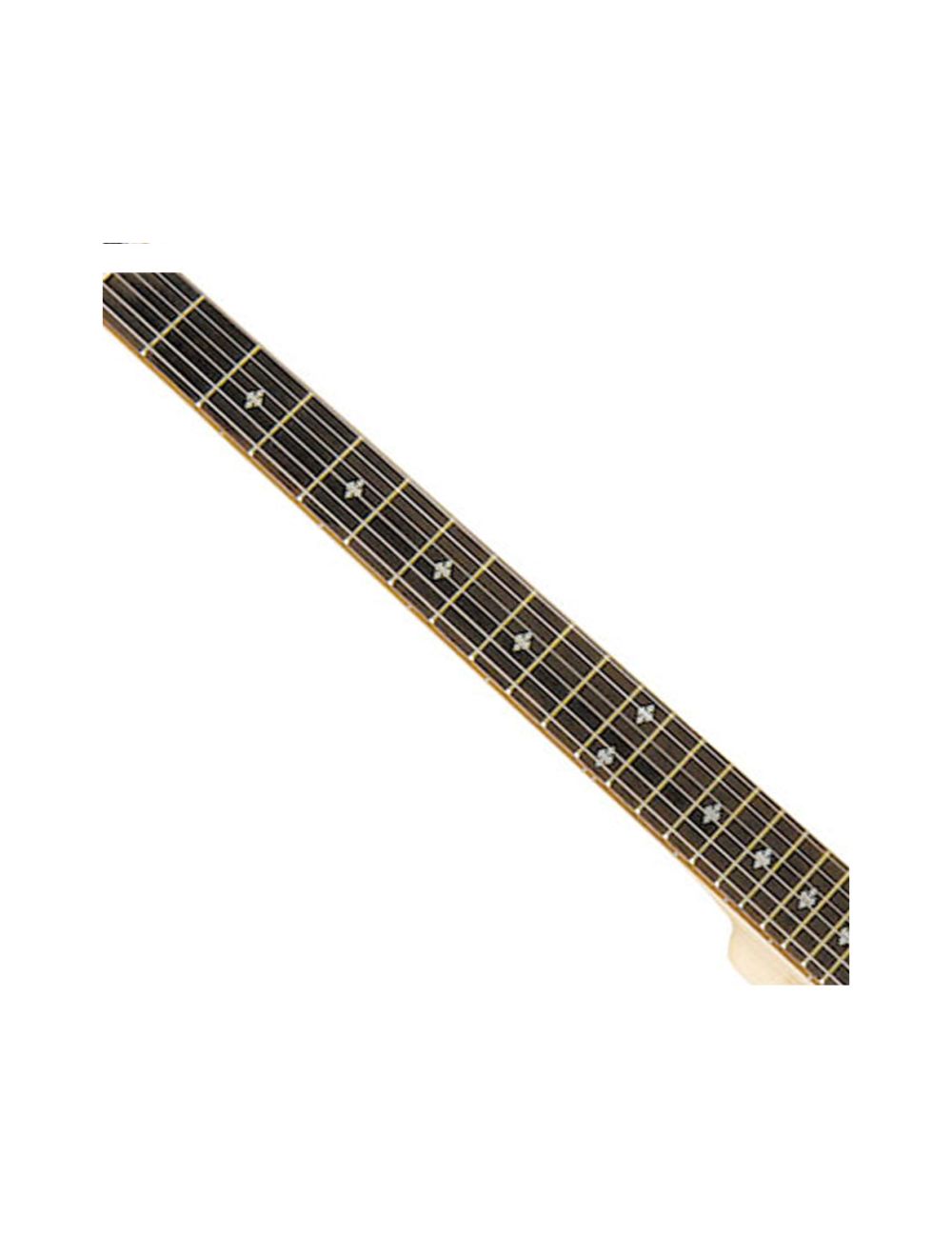 Gold Tone 6-String Banjitar