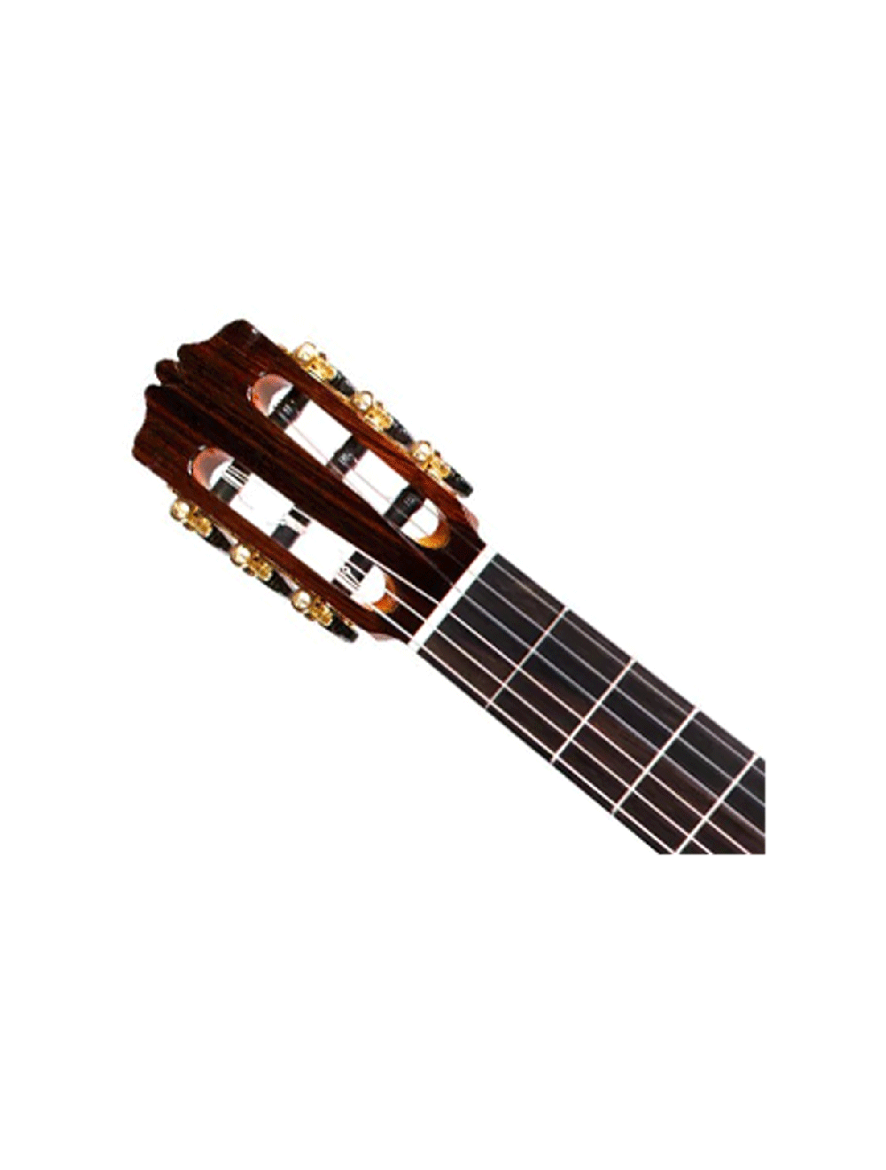 Cordoba Luthier C10 Cedar Nylon String Guitar - B-Stock