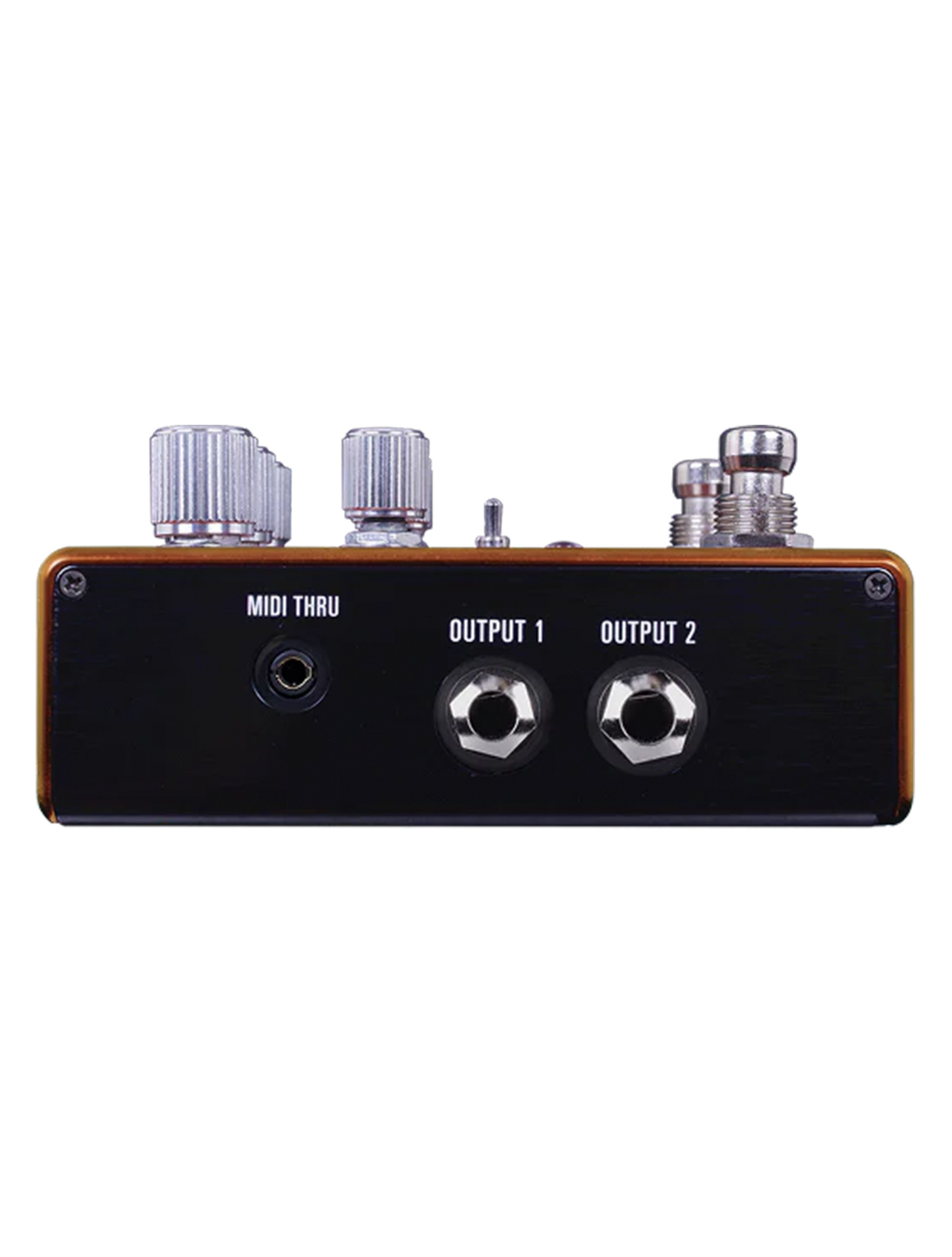 Source Audio Pathways Reverb & Tremolo Pedal