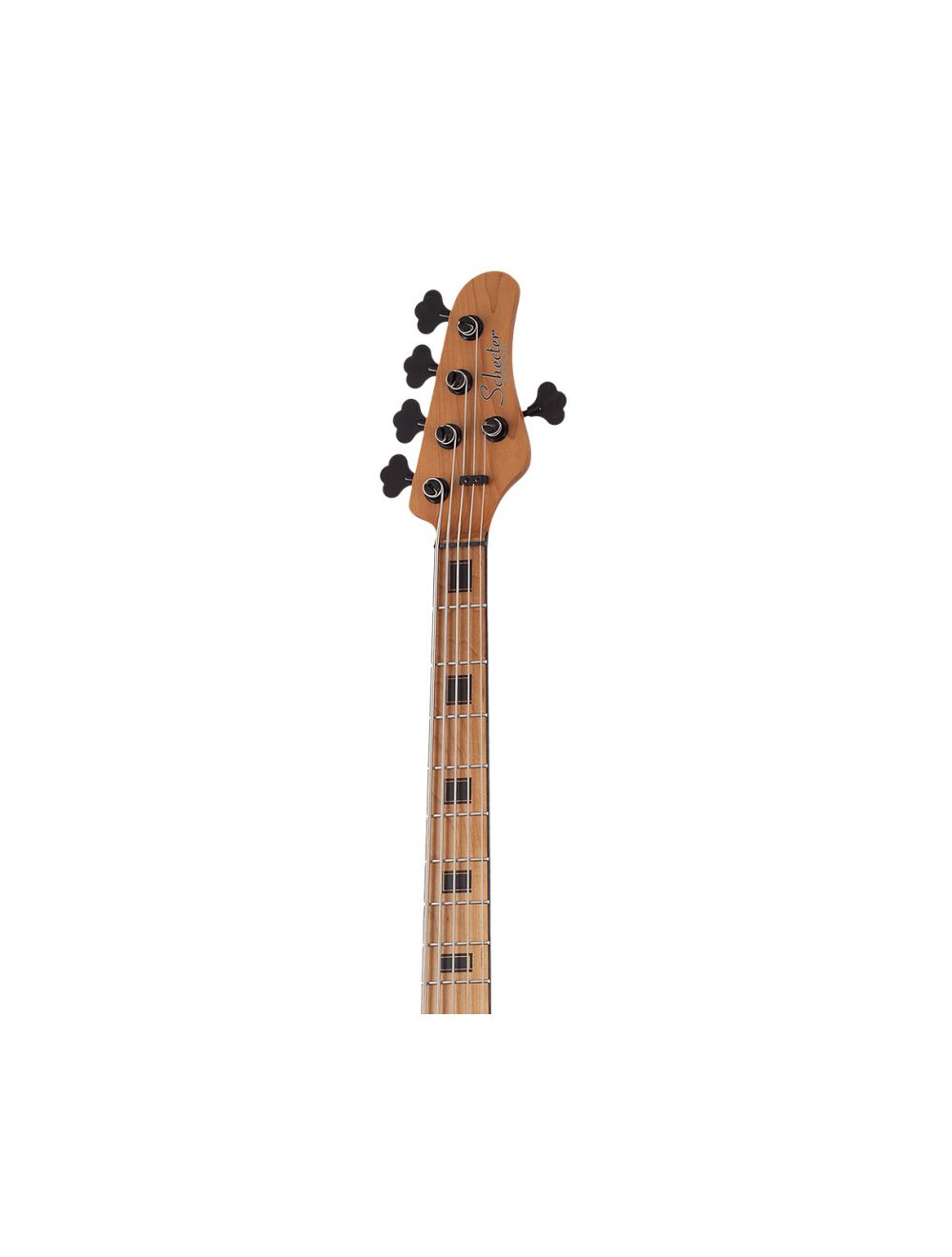 Schecter Model-T 5 Exotic Ziricote - Natural Satin