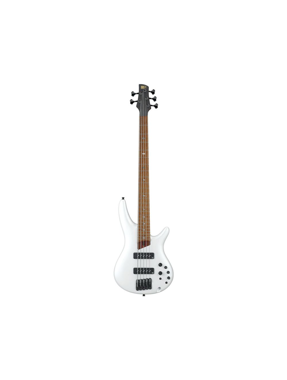 Ibanez sr1105b 2025