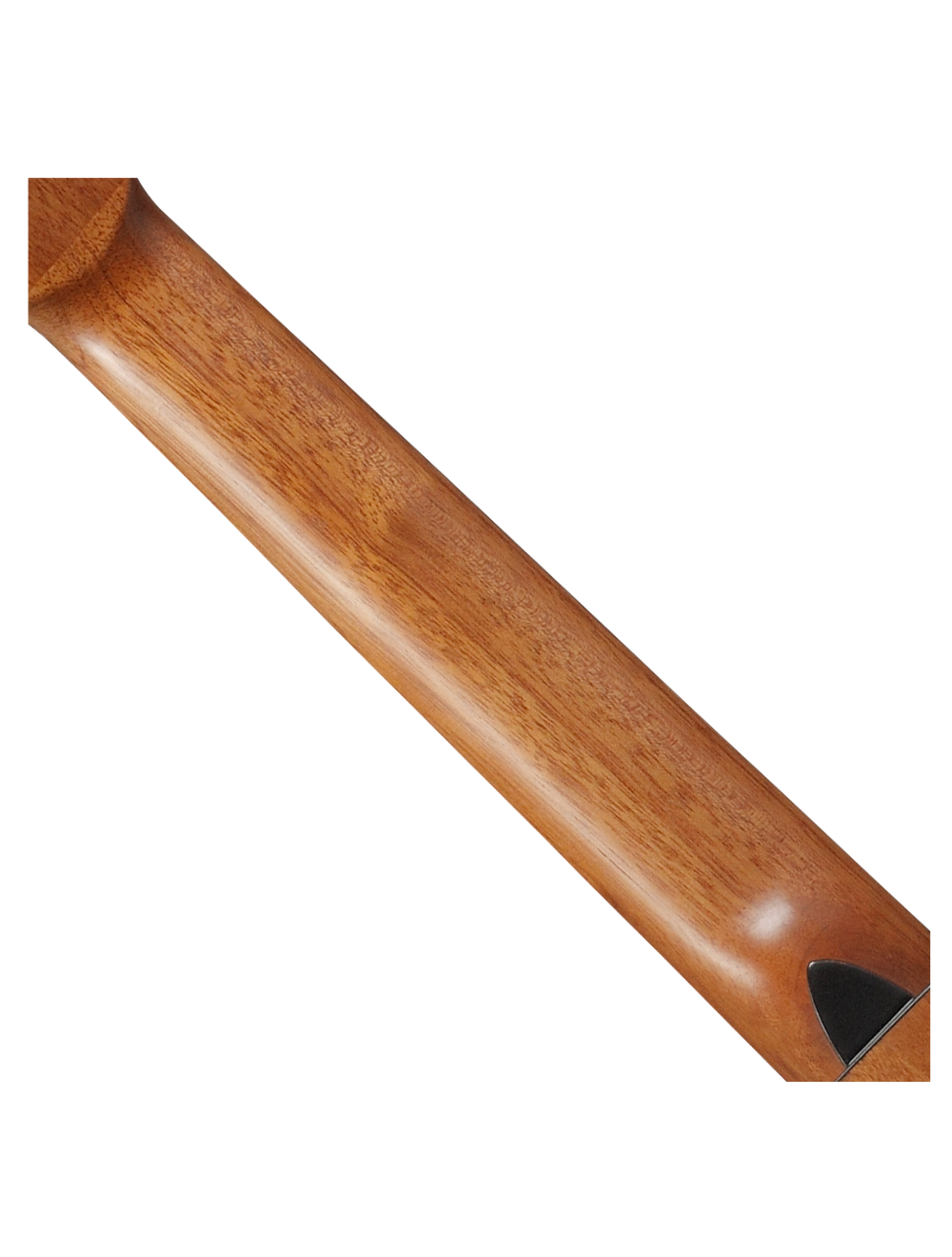 Ibanez GA3ECE Cutaway Classical A/E Guitar - Open Pore Amber