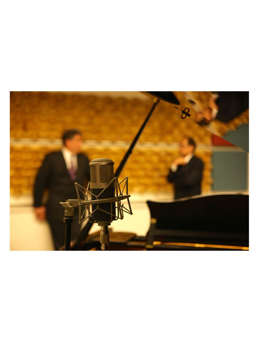 SE GEMINI-II Dual Tube Cardiod Condenser Microphone