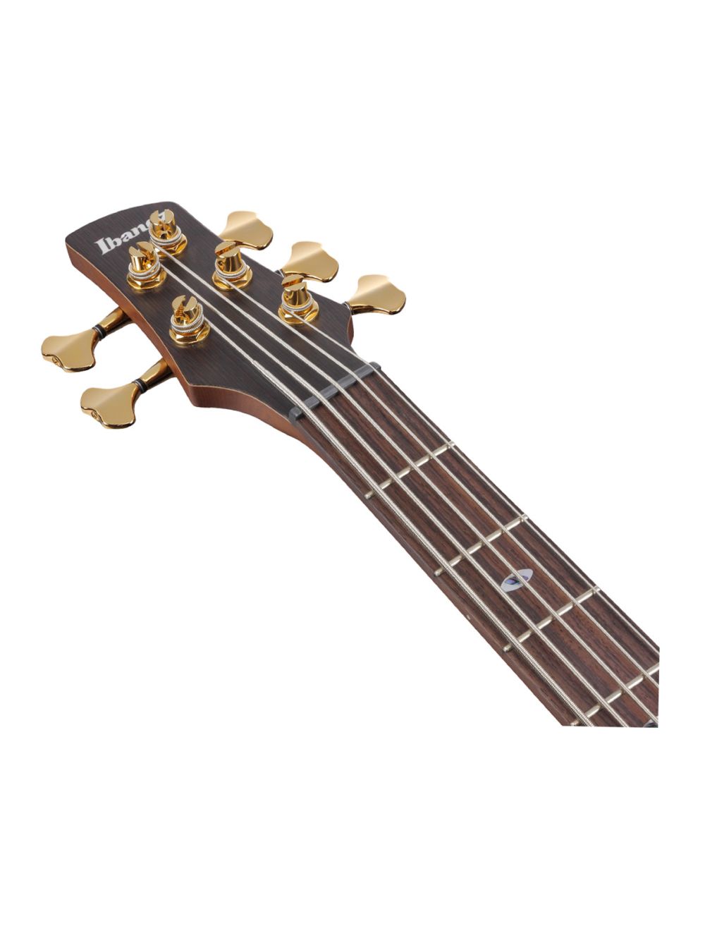 Ibanez SR6605GFB SR Prestige 5-String Bass Guitar - Ghost Fleet Blue Burst