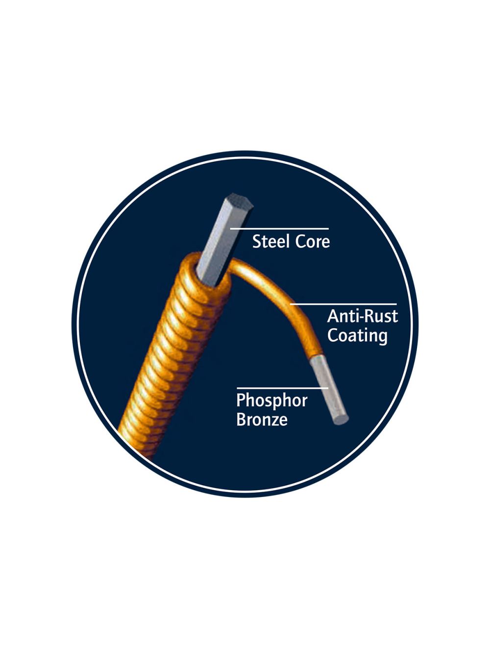 Ortega Guitars BJRH-5 Rüdiger Helbig Signature 5-String Banjo Strings - Medium Gauge