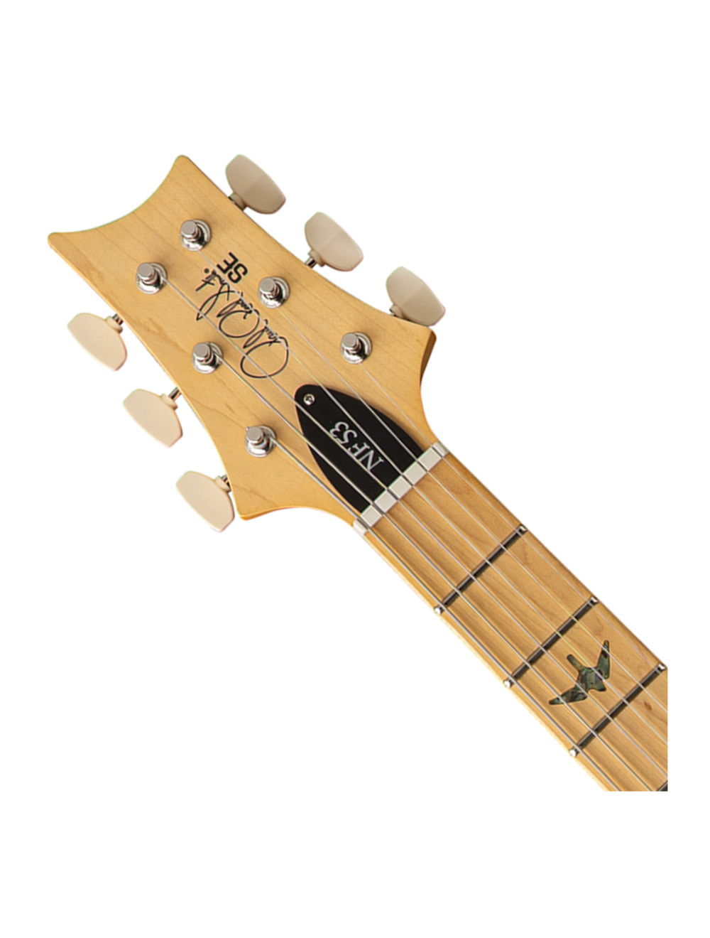 PRS SE NF 53 Electric Guitar - Black Doghair