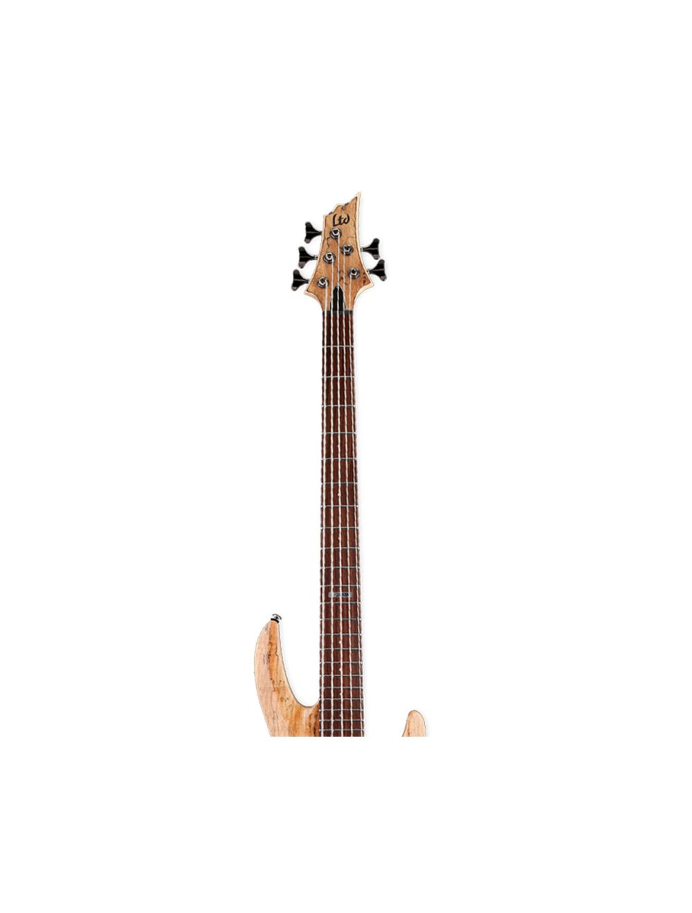 ESP LTD B-205SM 5-String Bass Guitar - Natural Satin