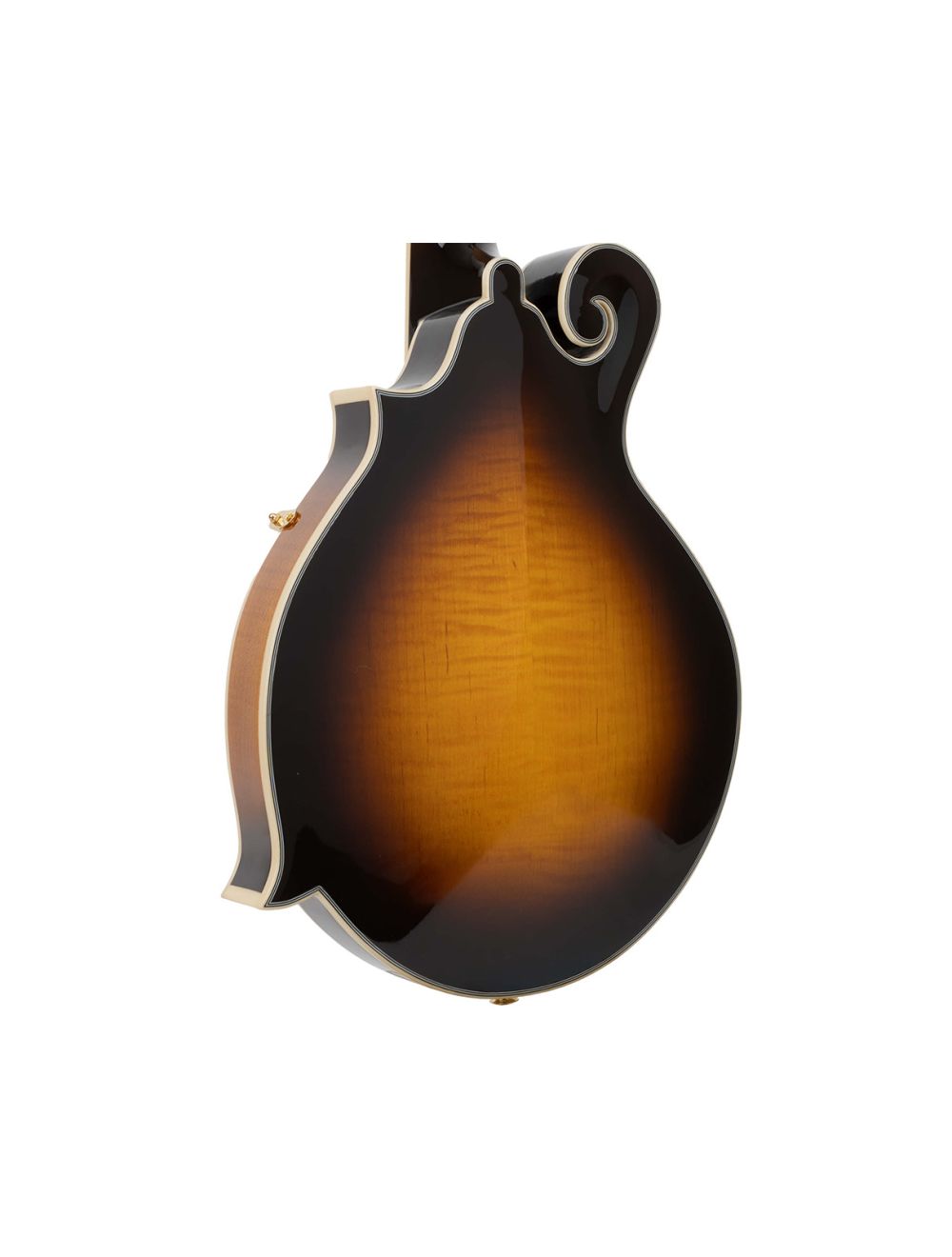 Gold Tone F-6+ F-style Mando-Guitar w/Pickup/Volume Control/Case - Open Box