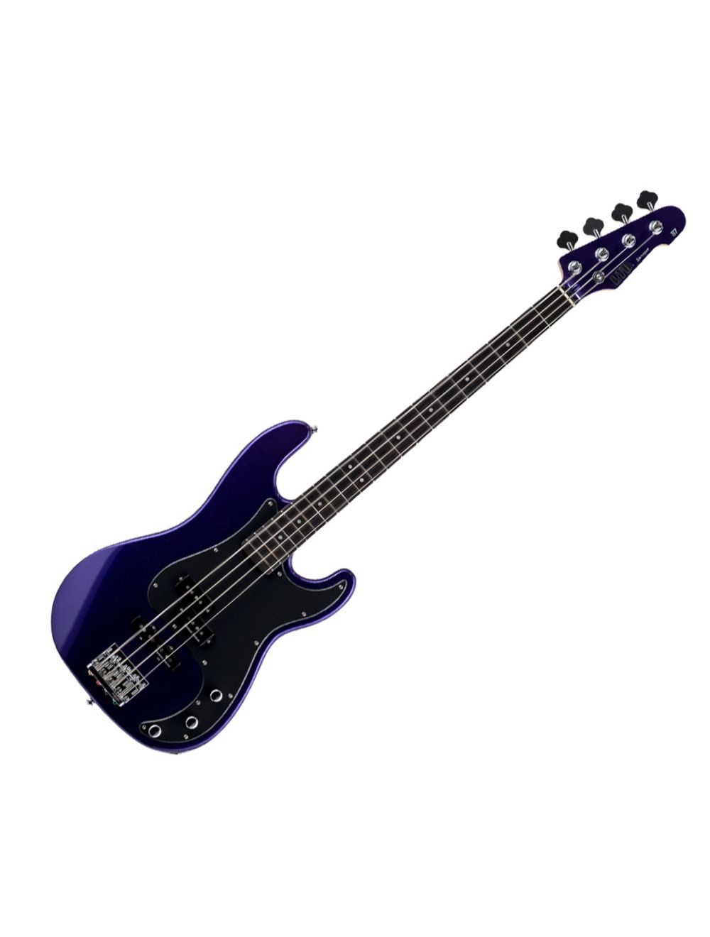 Esp surveyor bass outlet
