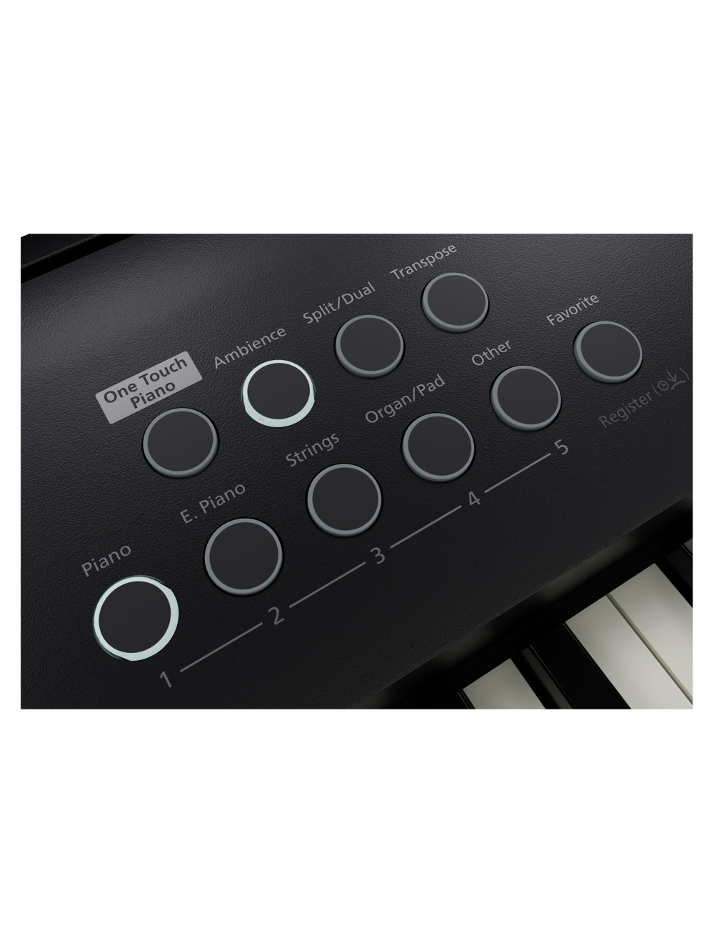 Roland FP-E50 Digital Piano w/ Built-In Arranger