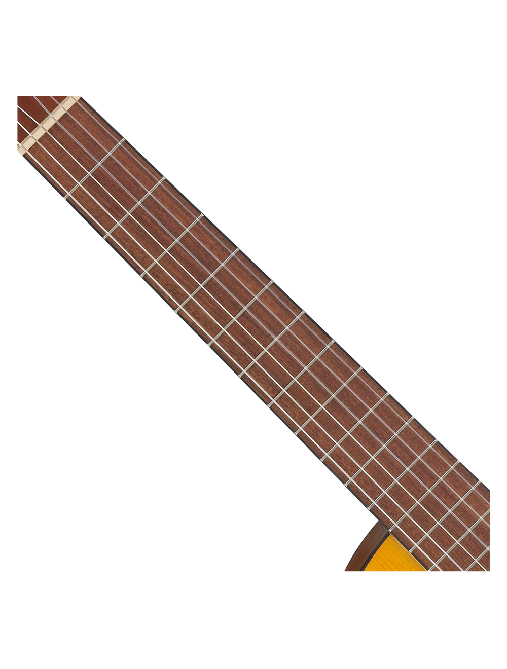 Ibanez GA3ECE Cutaway Classical A/E Guitar - Open Pore Amber