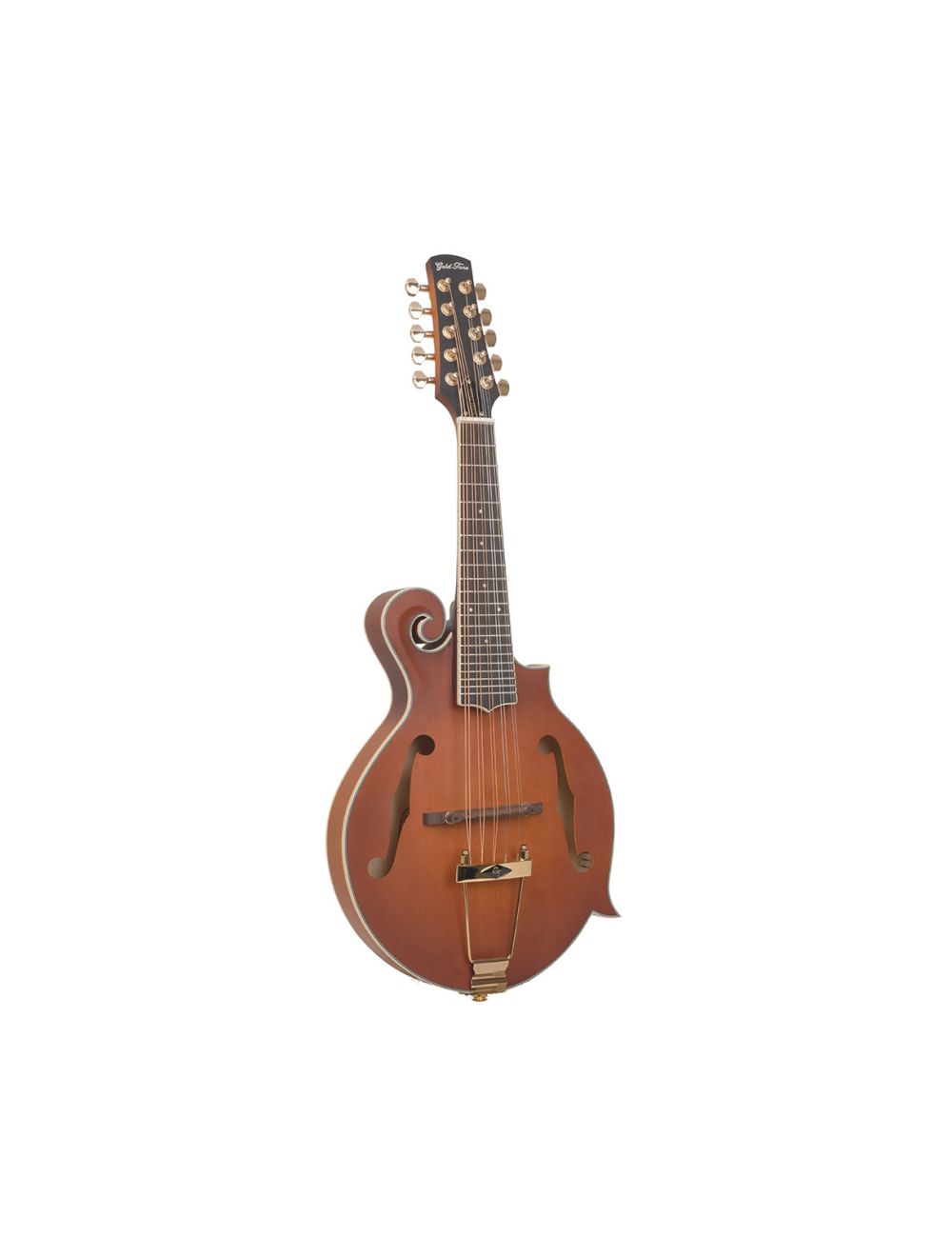 10 string mandolin sales