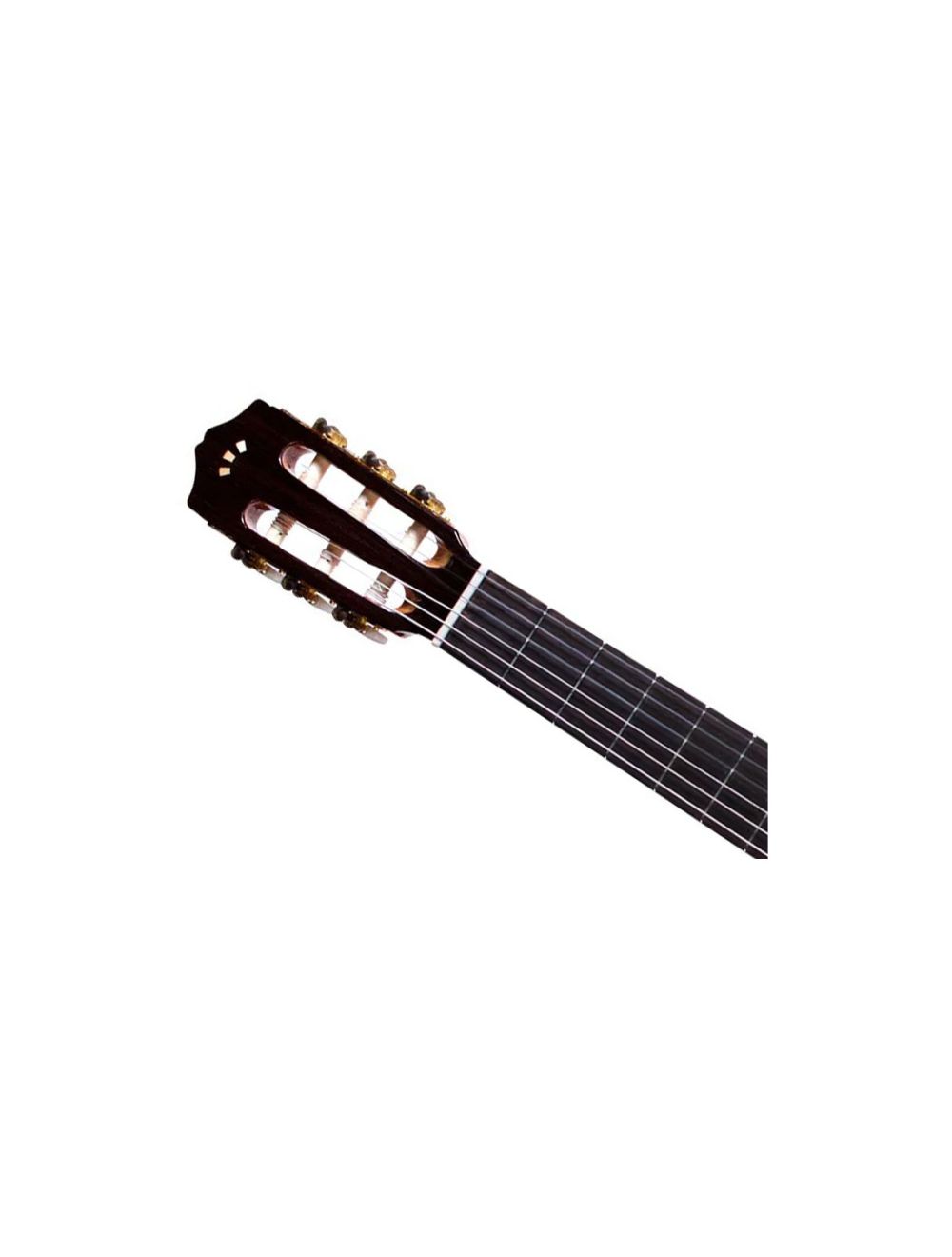 Cordoba Iberia C5-CET Limited Cutaway A/E Nylon String Guitar - B-Stock