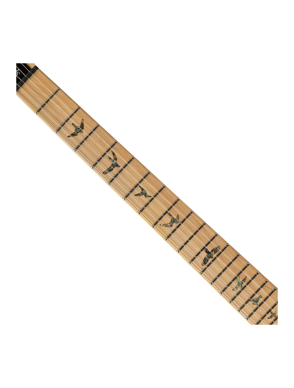 PRS SE Swamp Ash Special Electric Guitar - Iri Blue