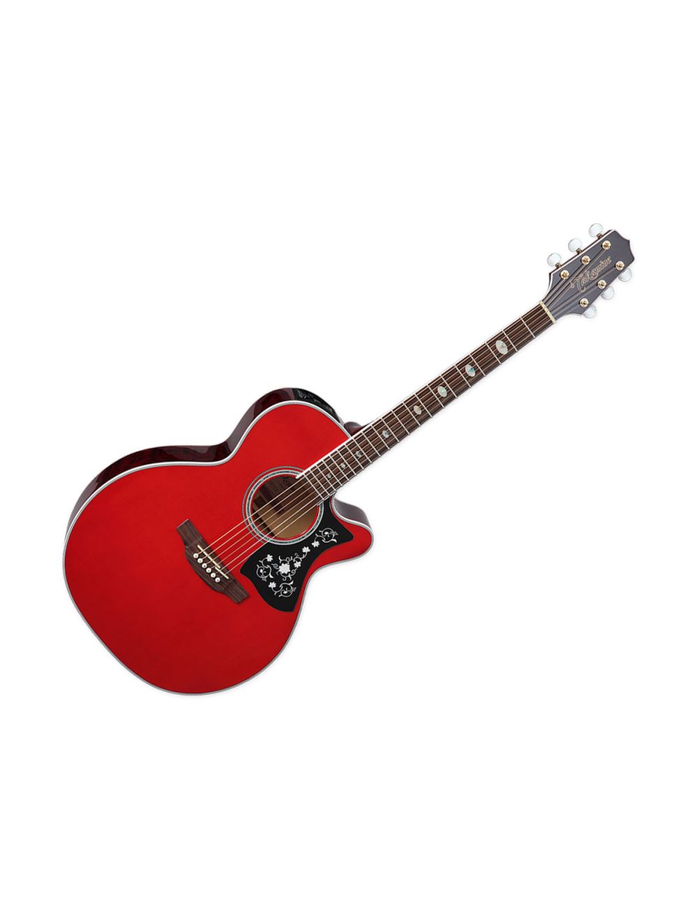 Takamine cutaway acoustic electric new arrivals