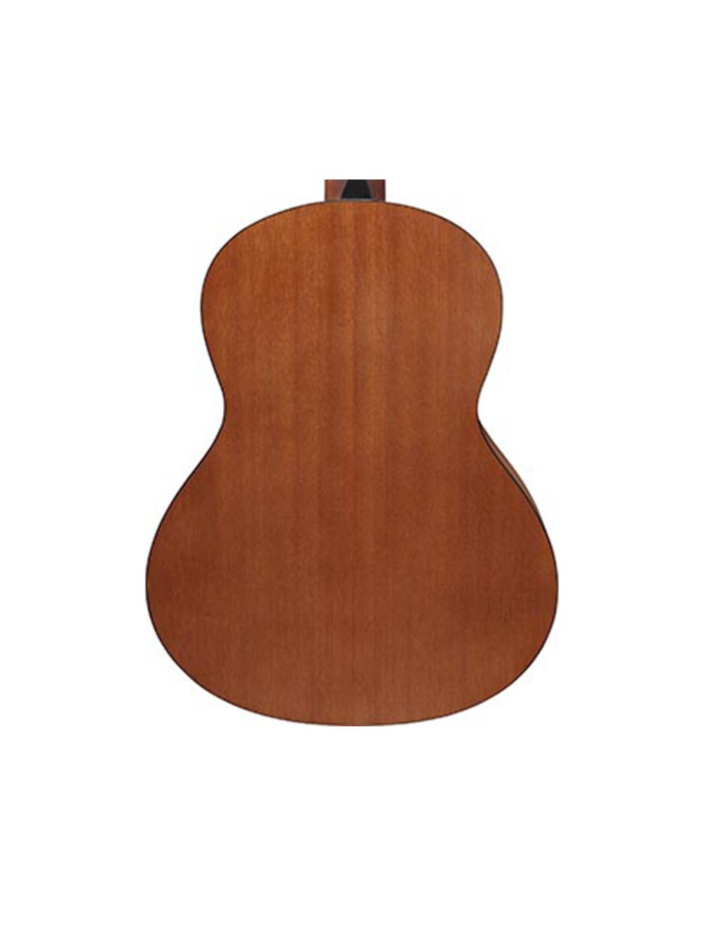 Ibanez GA2OAM Classical Acoustic 3/4 Sized Guitar - Open Pore Amber