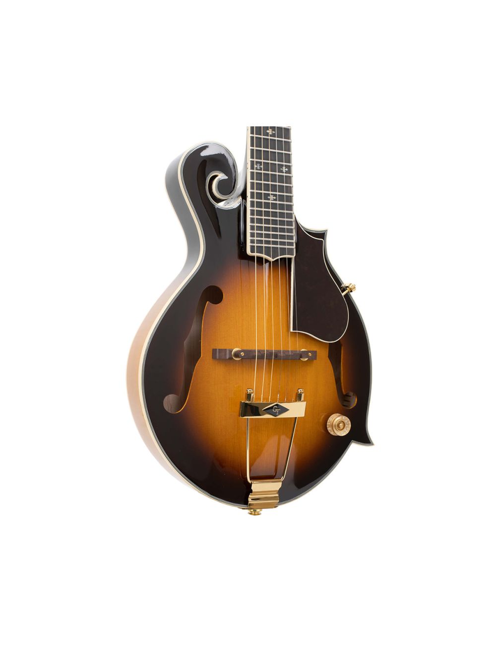 Gold Tone F-6+ F-style Mando-Guitar w/Pickup/Volume Control/Case - Open Box