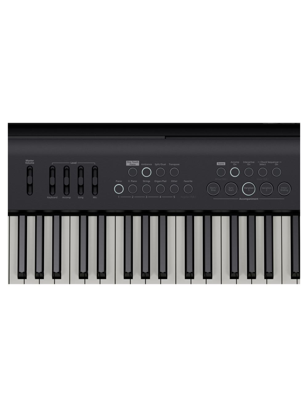 Roland FP-E50 Digital Piano w/ Built-In Arranger - Open Box
