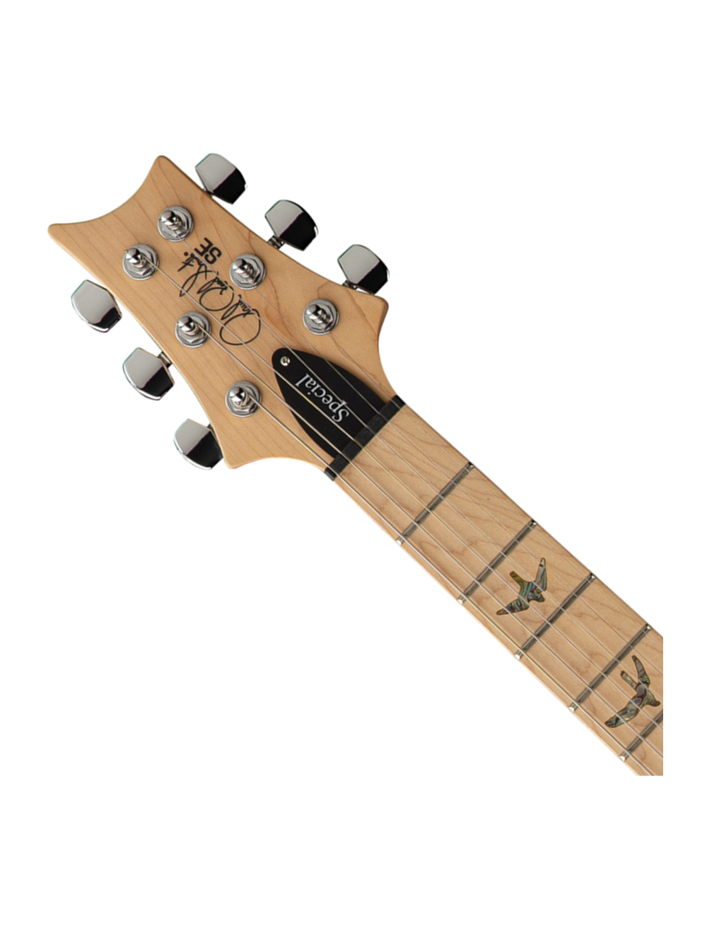 PRS SE Swamp Ash Special Electric Guitar - Iris Blue