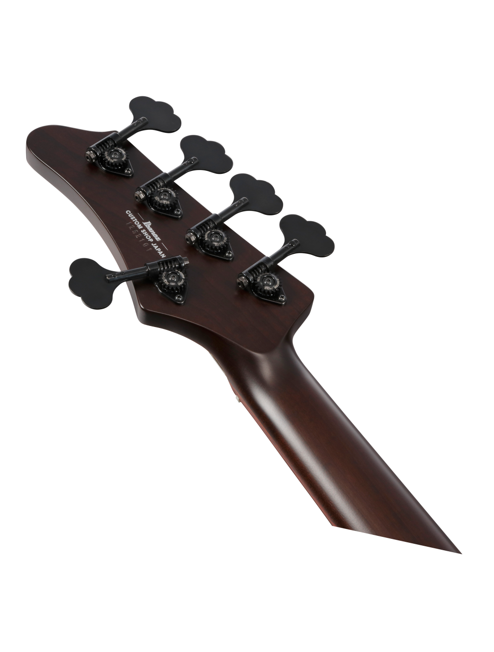 Ibanez MDM Visions Japan Custom Shop 5-String Electric Bass Guitar w/Case