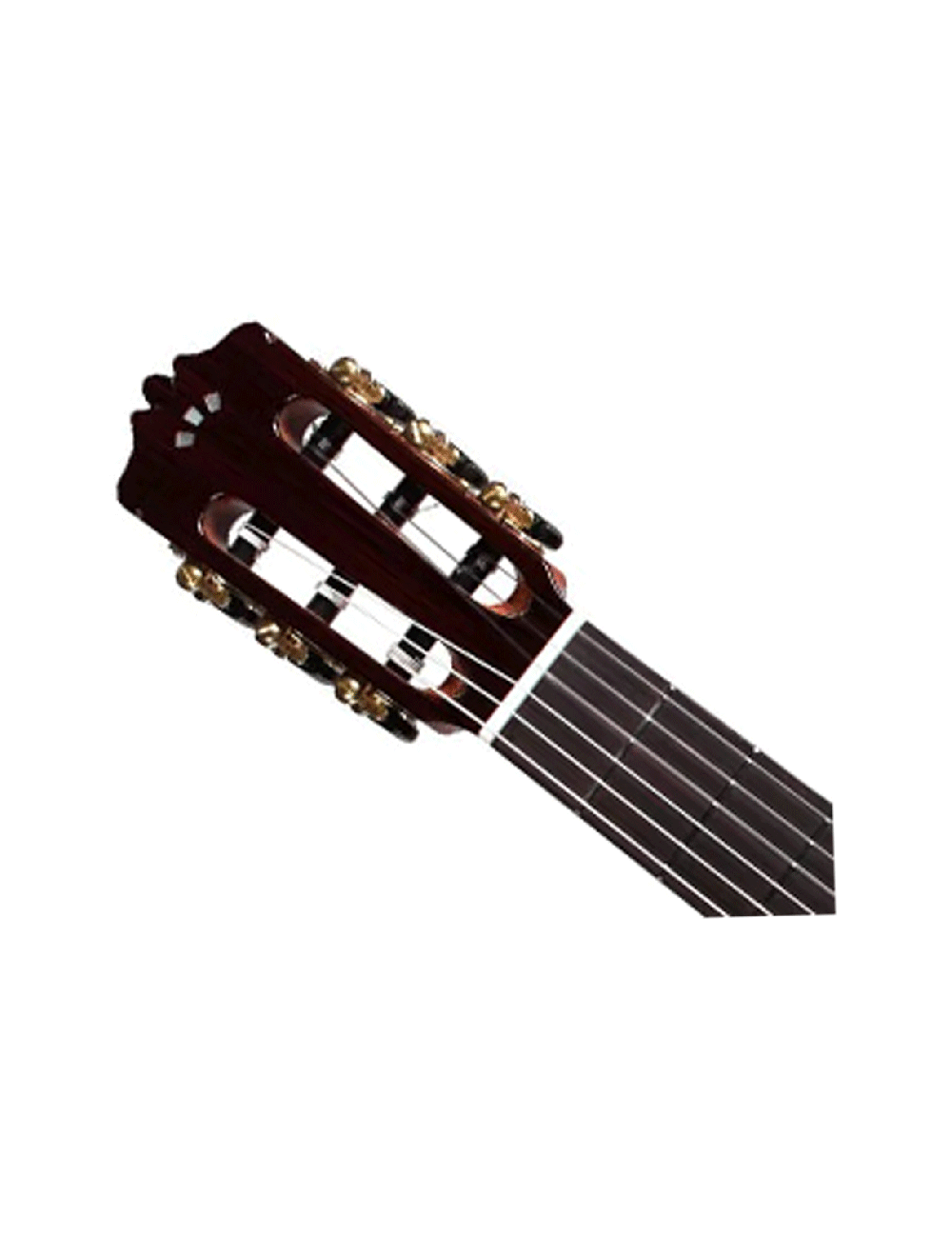 Cordoba Luthier C9 Parlor Nylon String Guitar