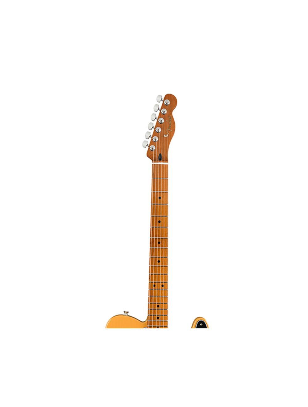 Fender player telecaster roasted maple neck discount