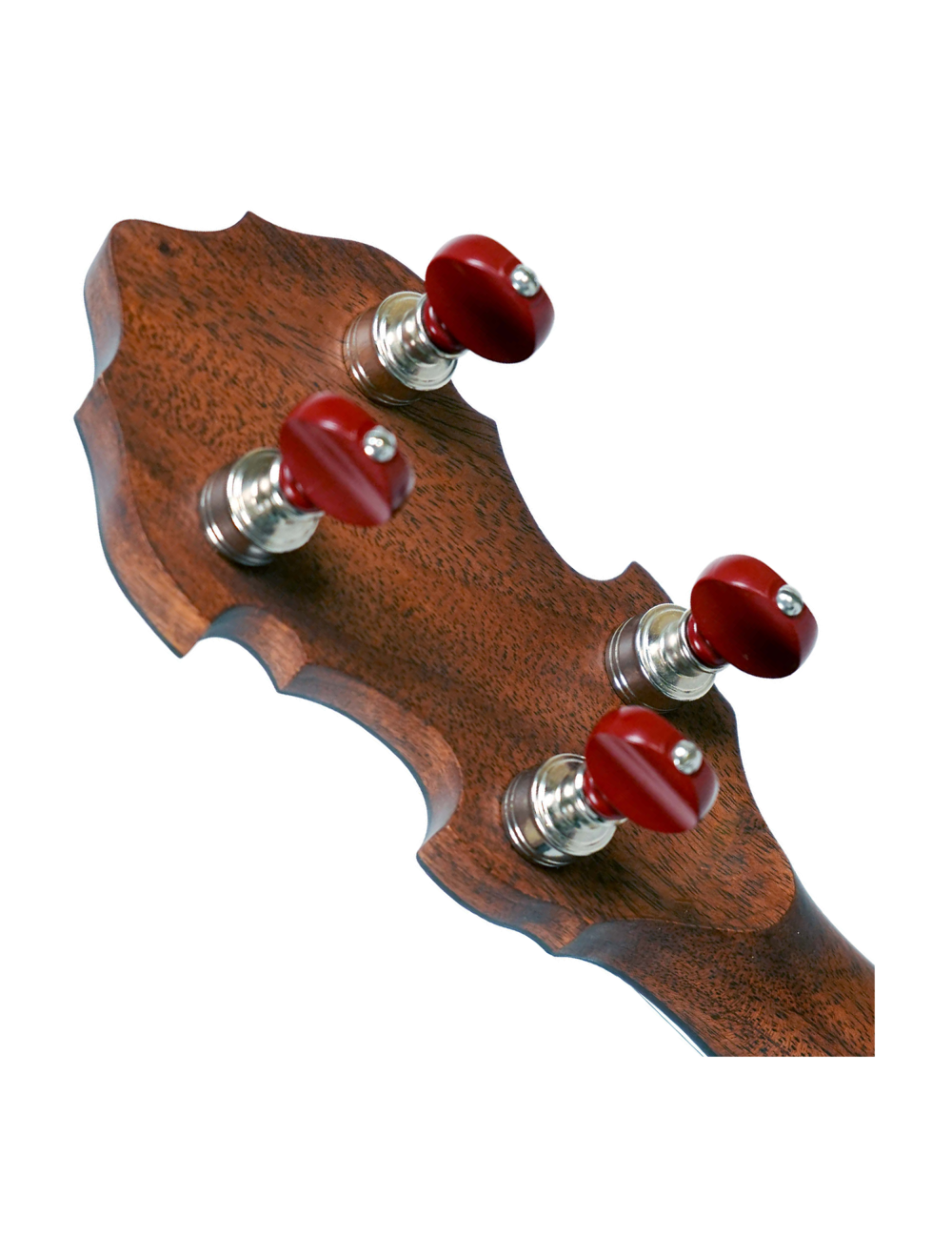 Gold Tone Mastertone Bluegrass Heart Béla Fleck Signature Banjo w/Case