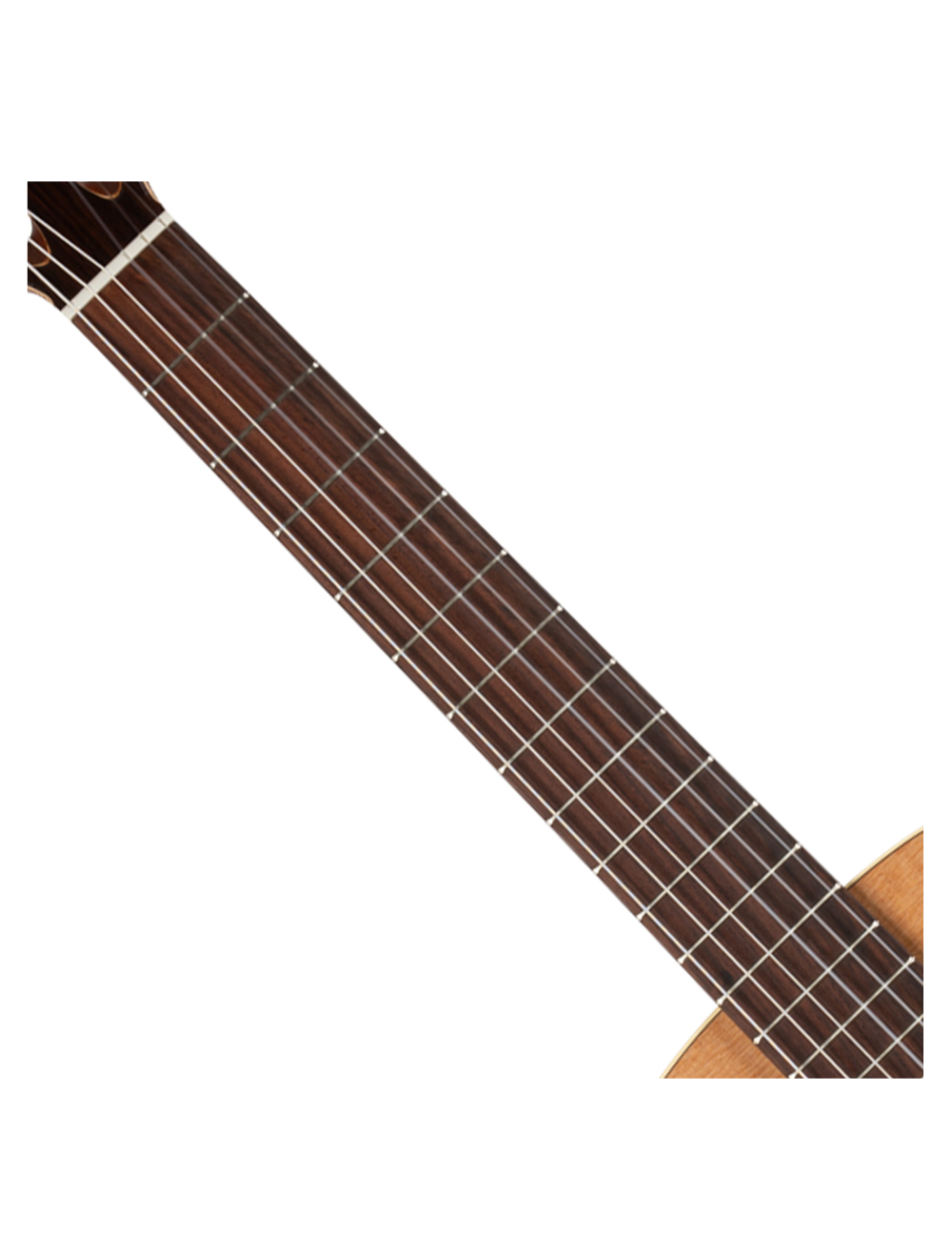 Godin Etude Clasica II Nylon String Guitar - Open Box