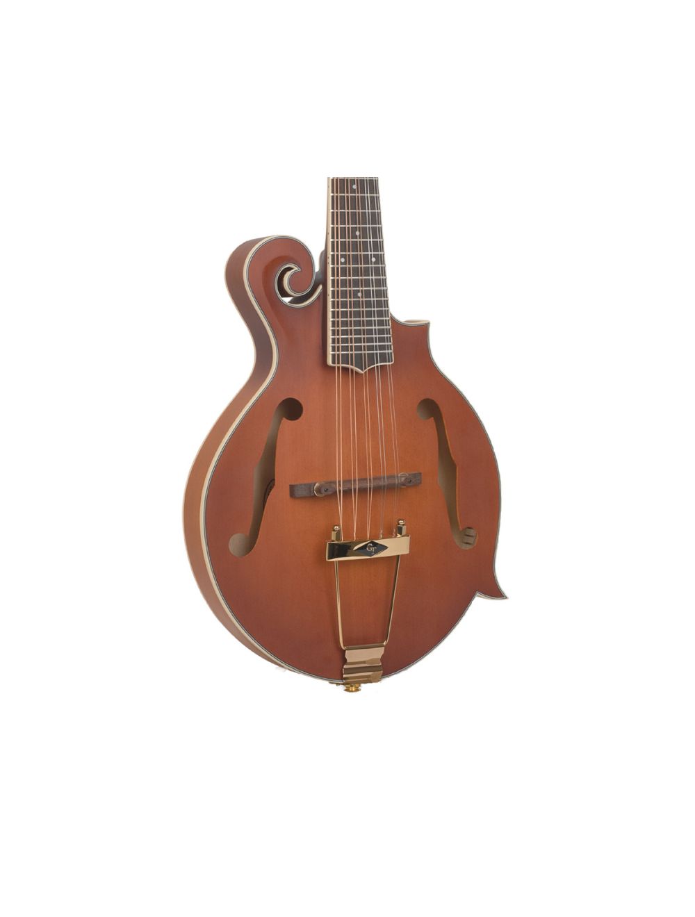 Gold tone mandolin new arrivals